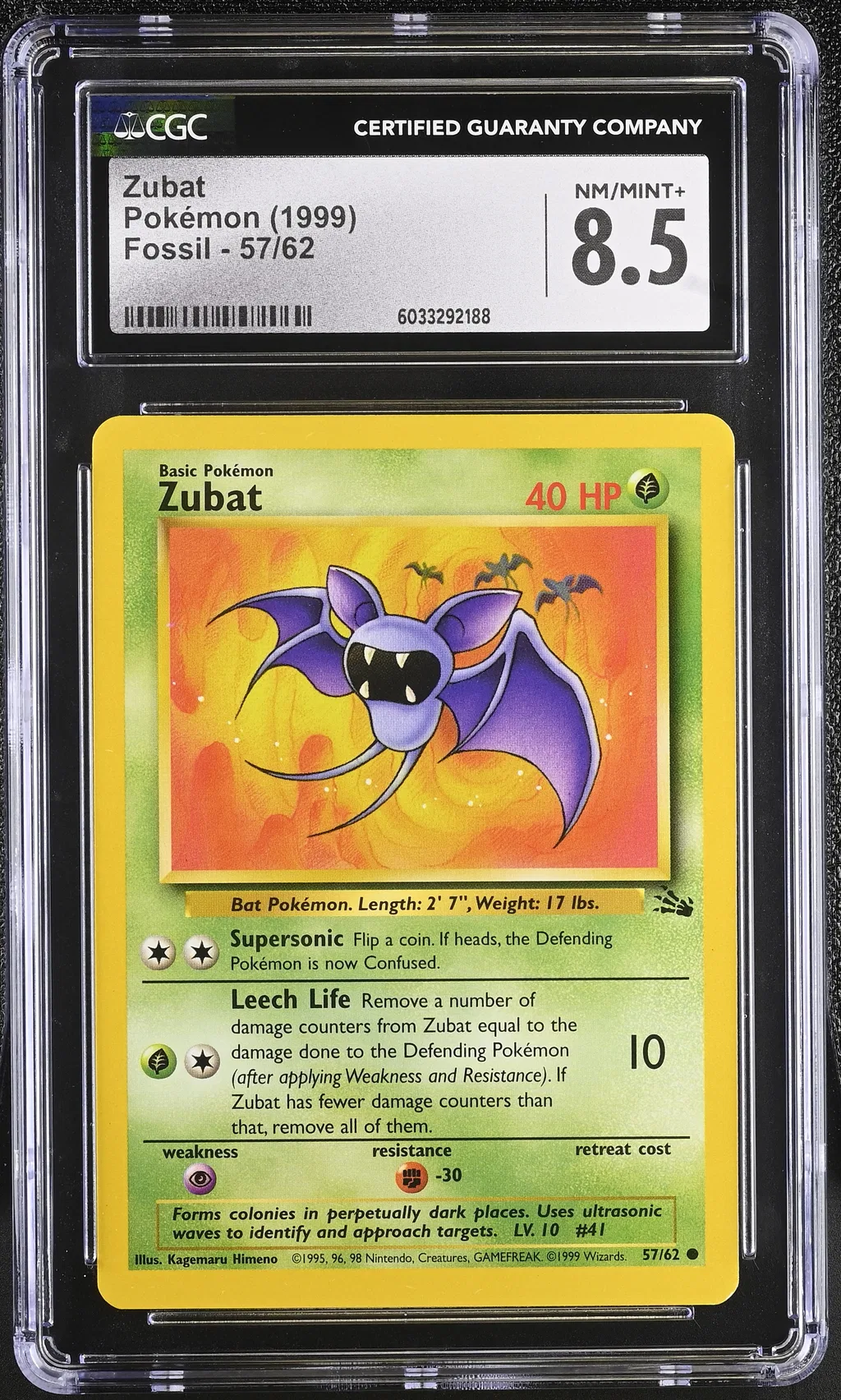 Zubat card artwork