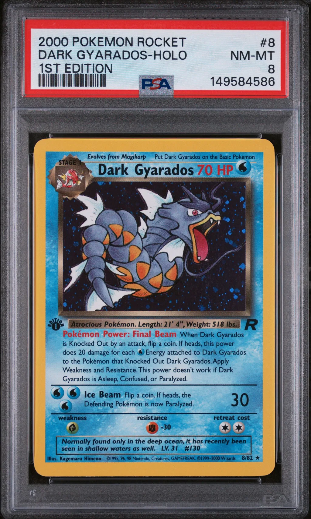 Dark Gyarados-Holo card artwork