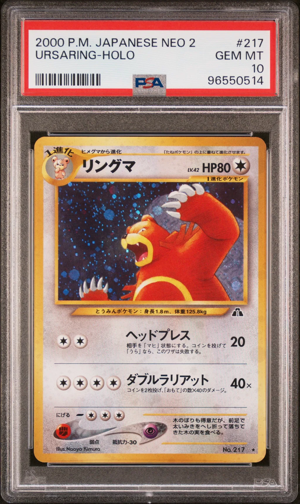 Ursaring-Holo card artwork