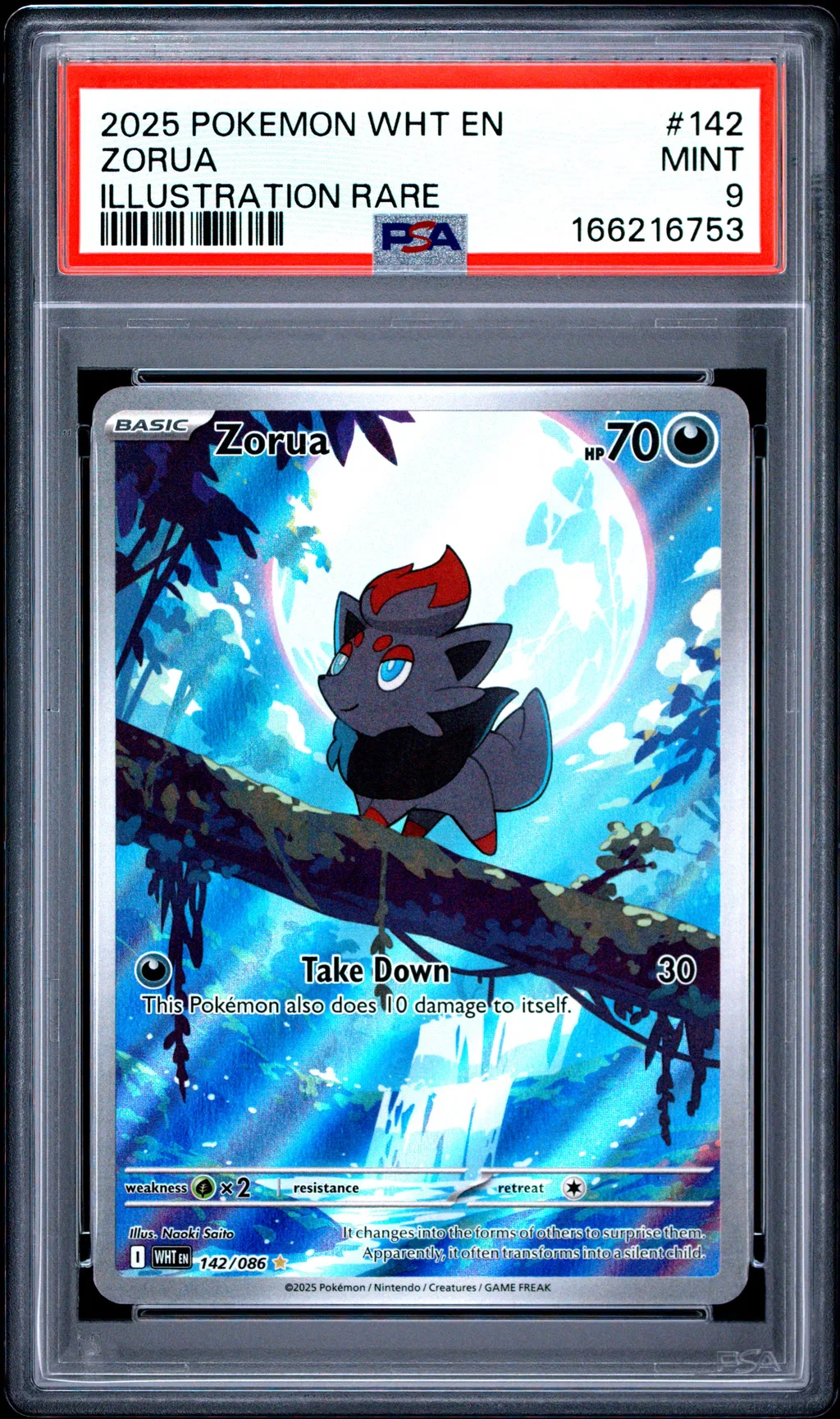 Zorua card artwork