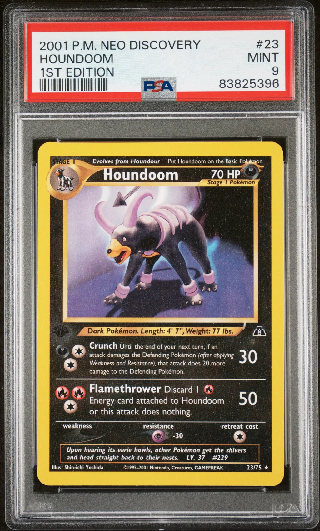 Houndoom card artwork
