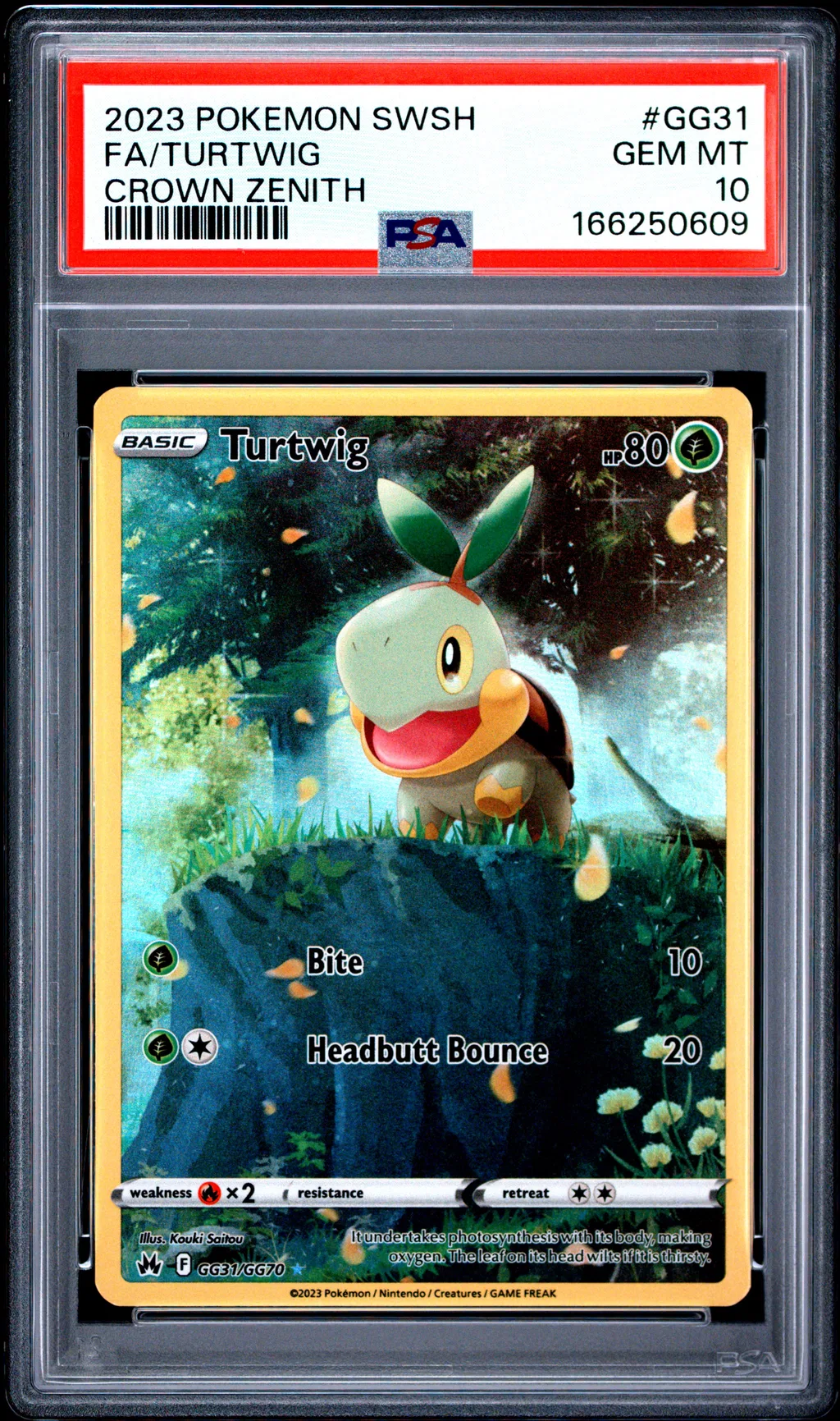 Full Art/Turtwig card artwork