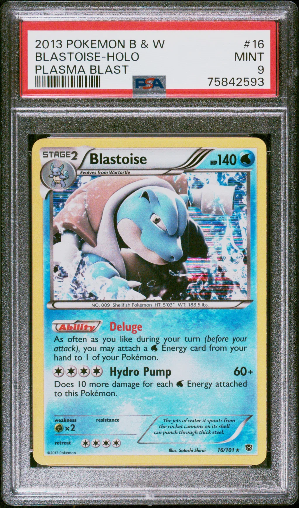 Blastoise-Holo card artwork