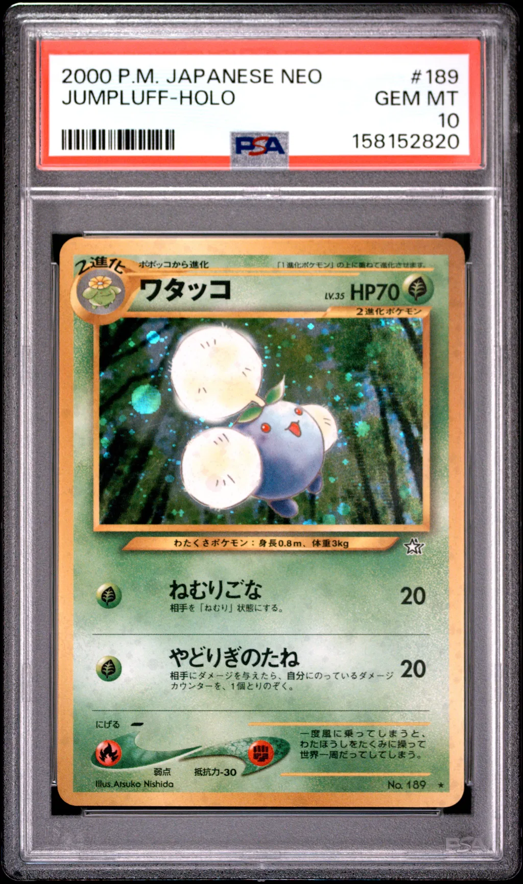 Jumpluff-Holo card artwork