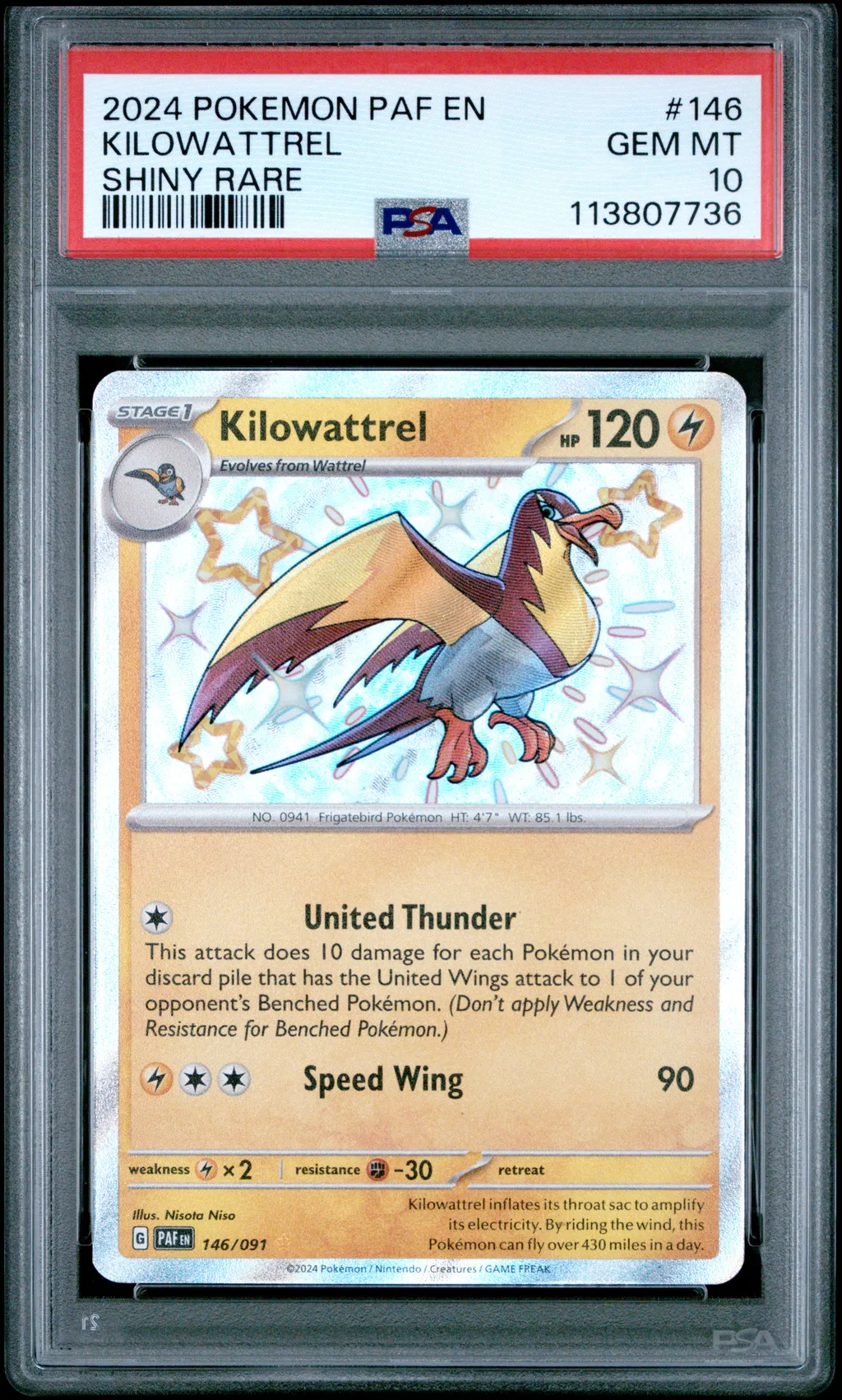Kilowattrel card artwork