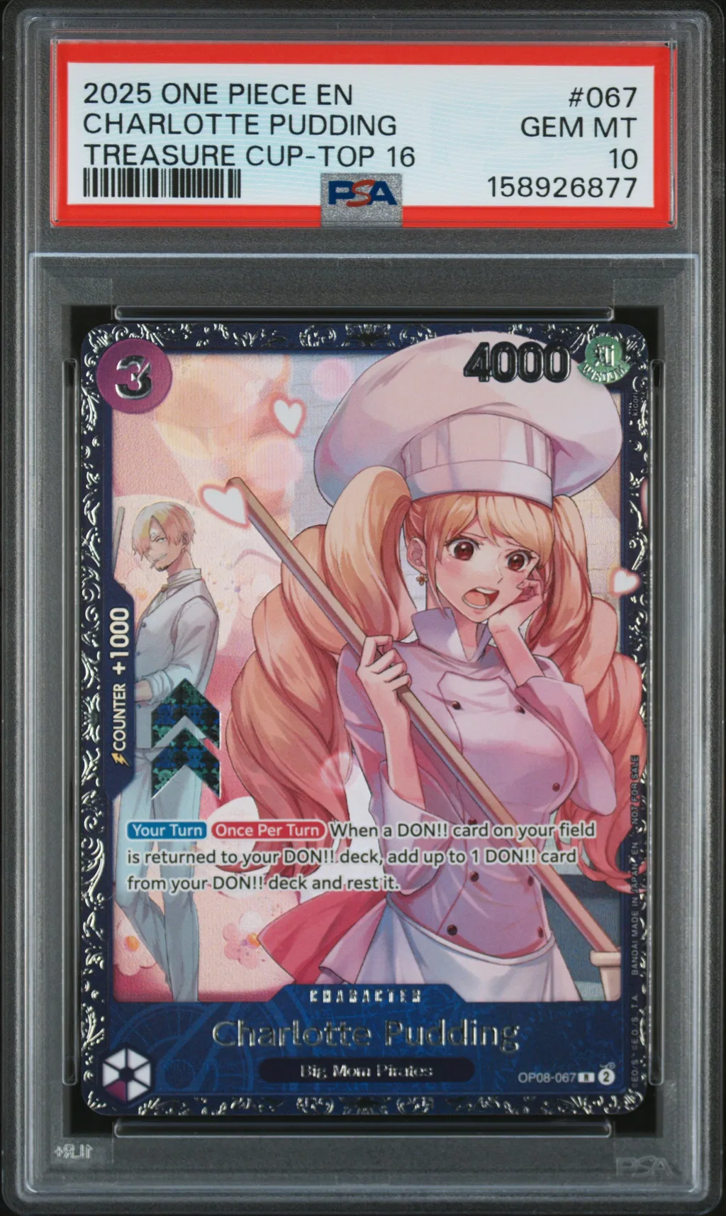 Charlotte Pudding card artwork