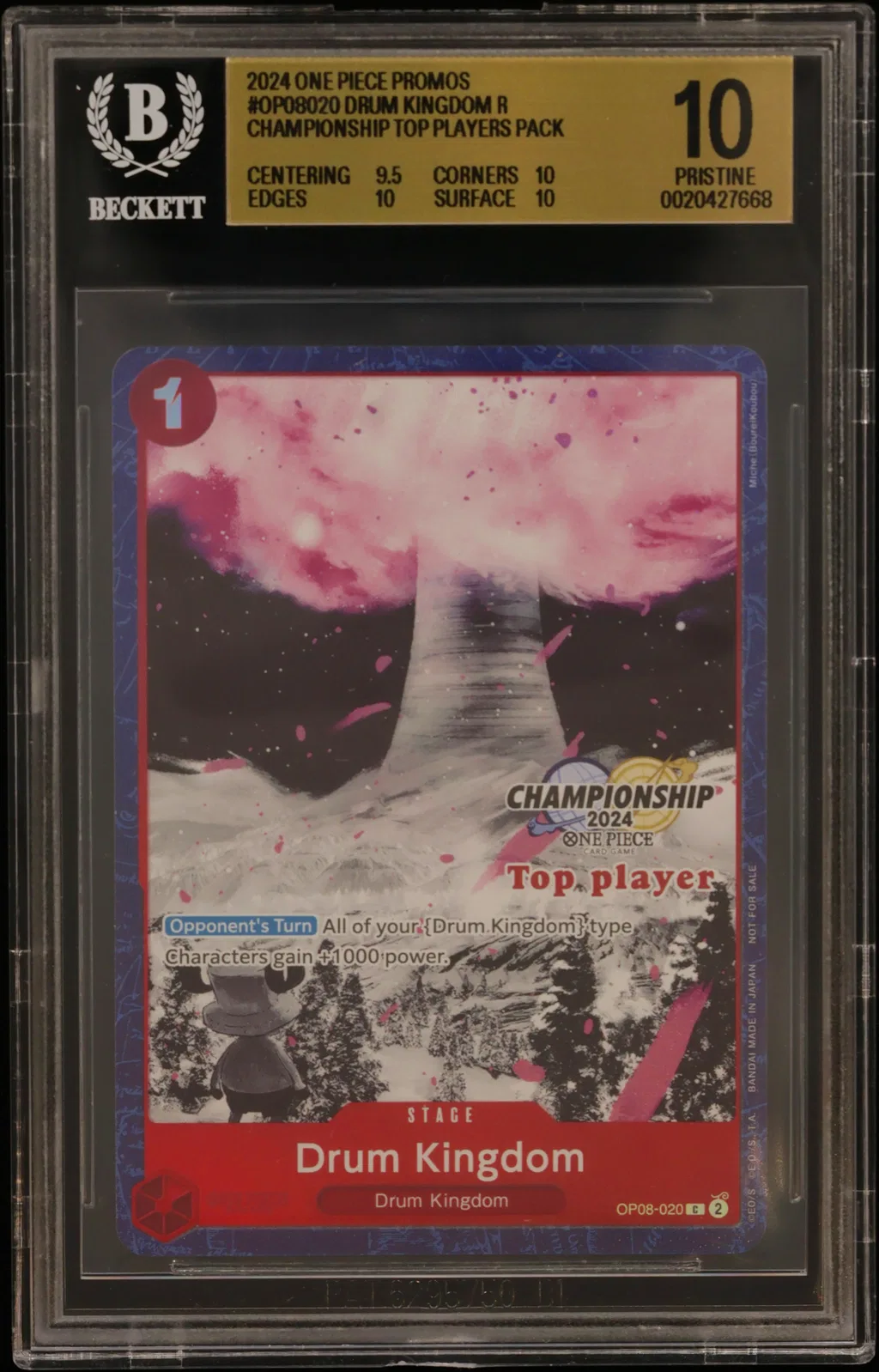 Drum Kingdom R/(Championship 2024 Top Players Pack) card artwork