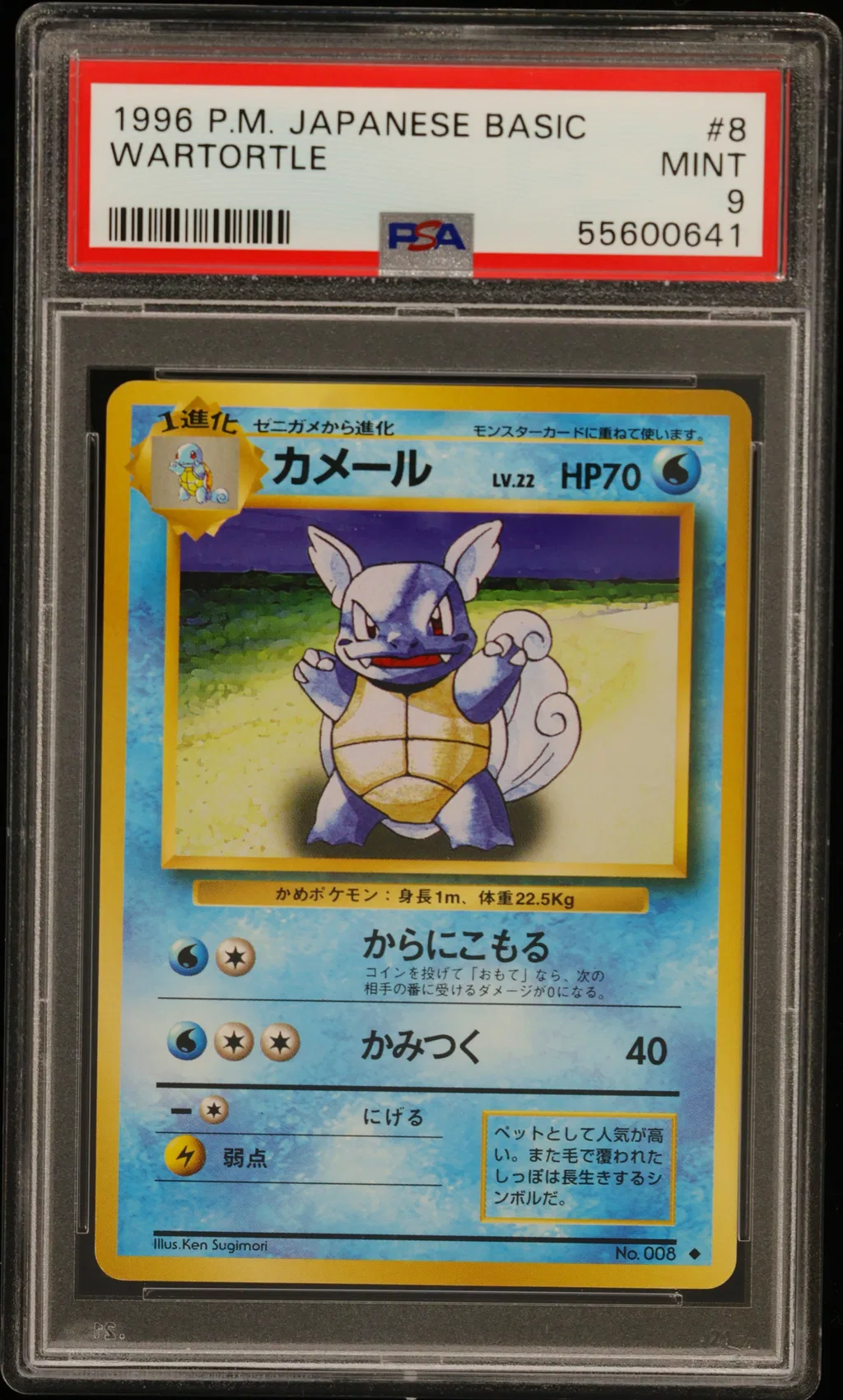 Wartortle card artwork