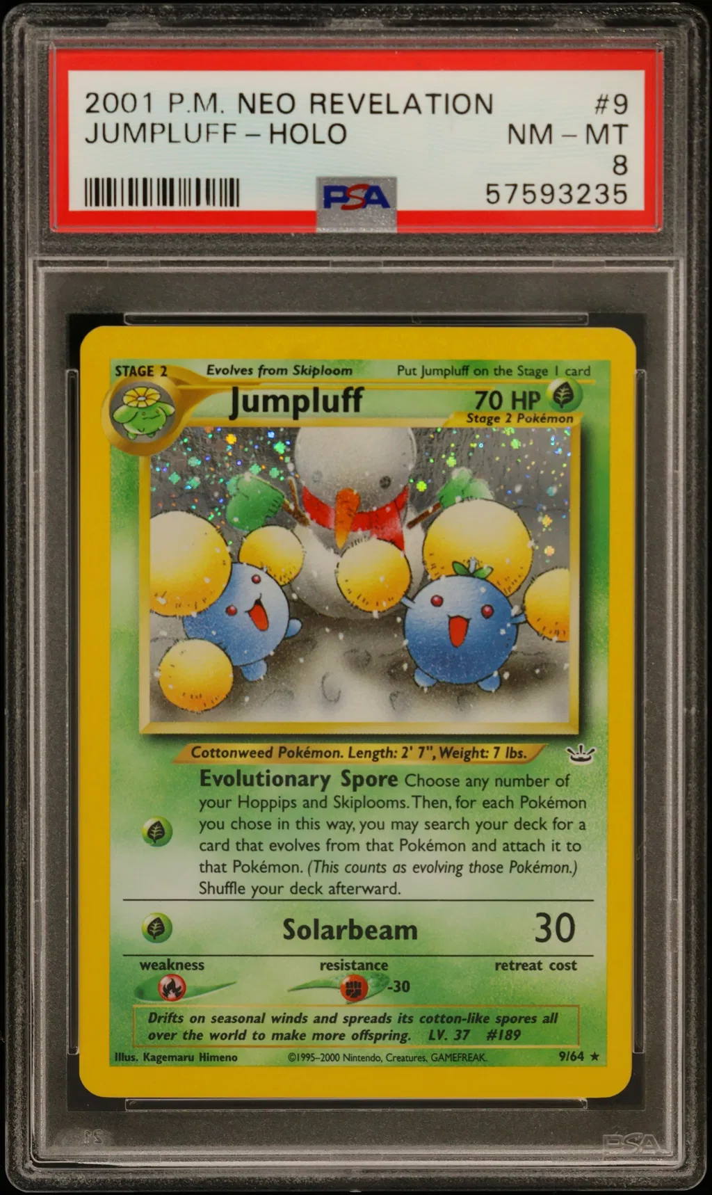 Jumpluff-Holo card artwork