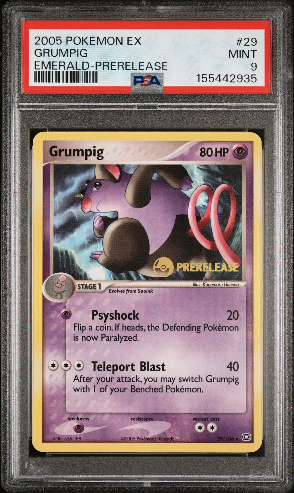 Grumpig card artwork
