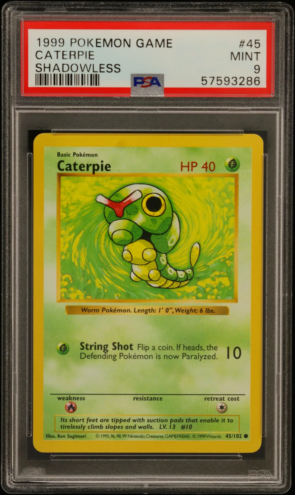 Caterpie card artwork