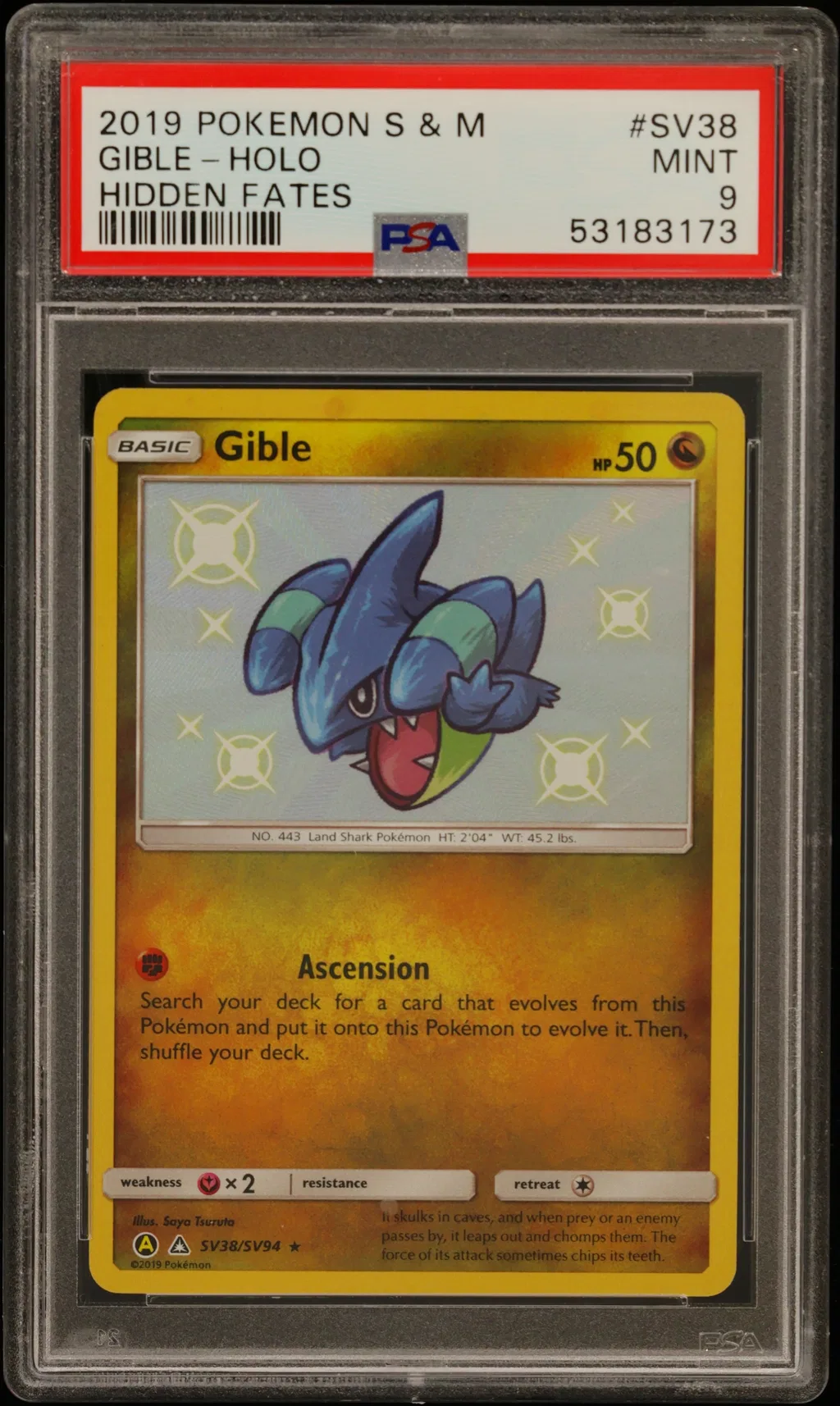 Gible-Holo card artwork