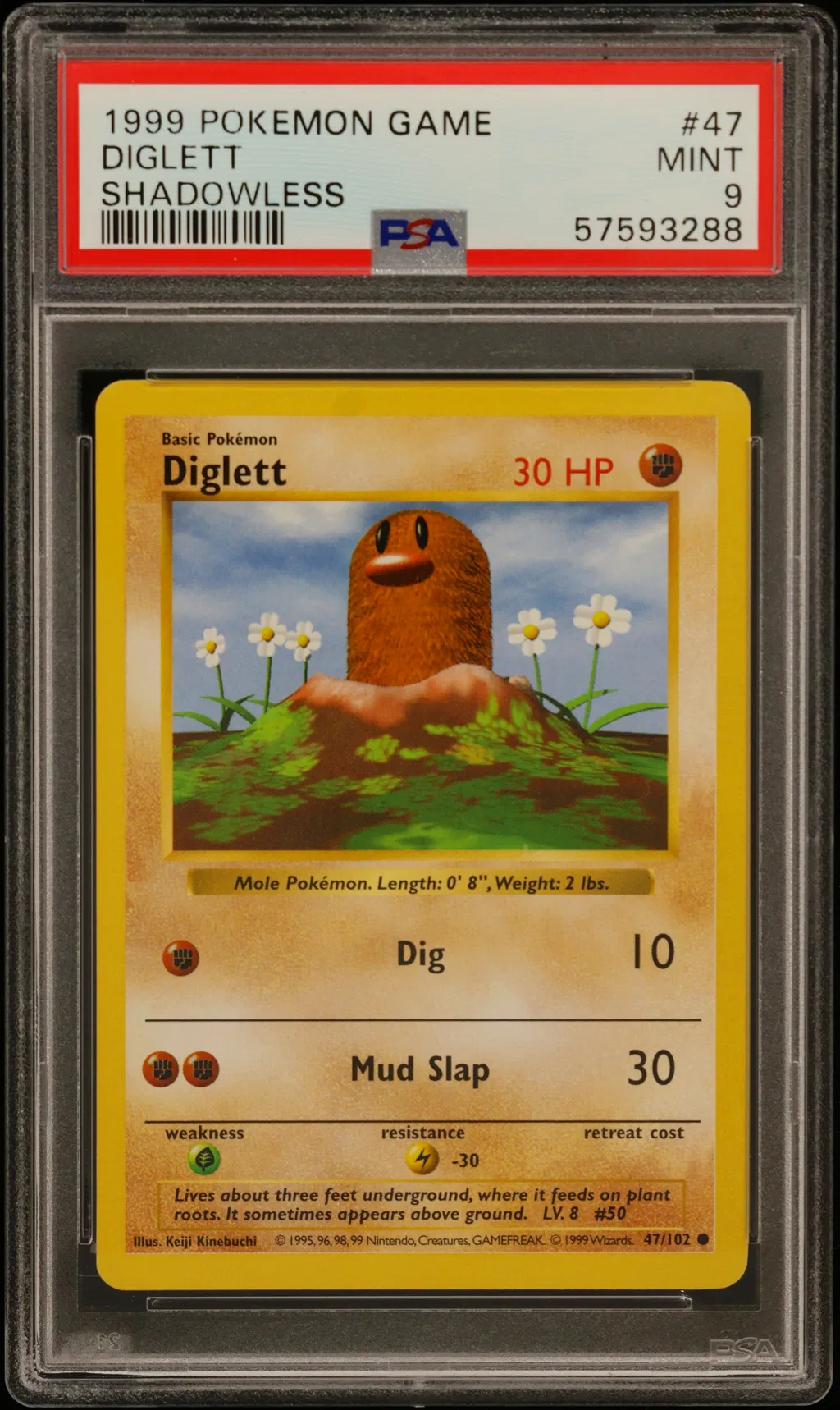 Diglett card artwork