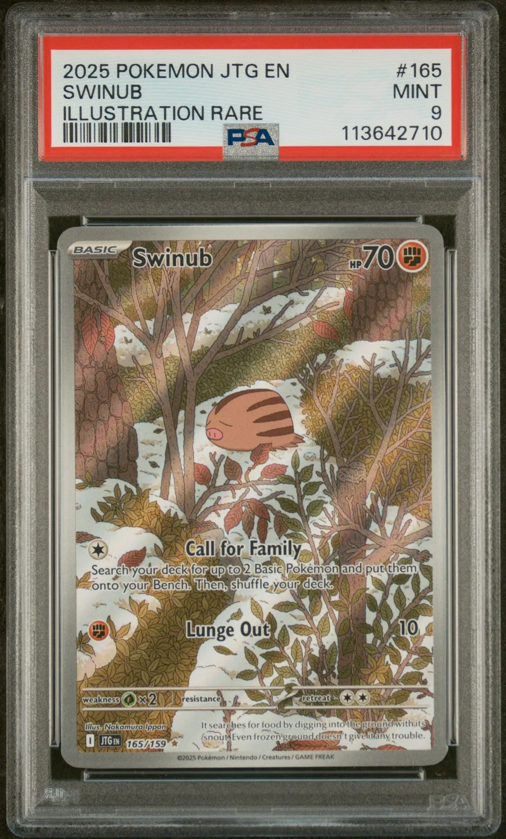 Swinub card artwork