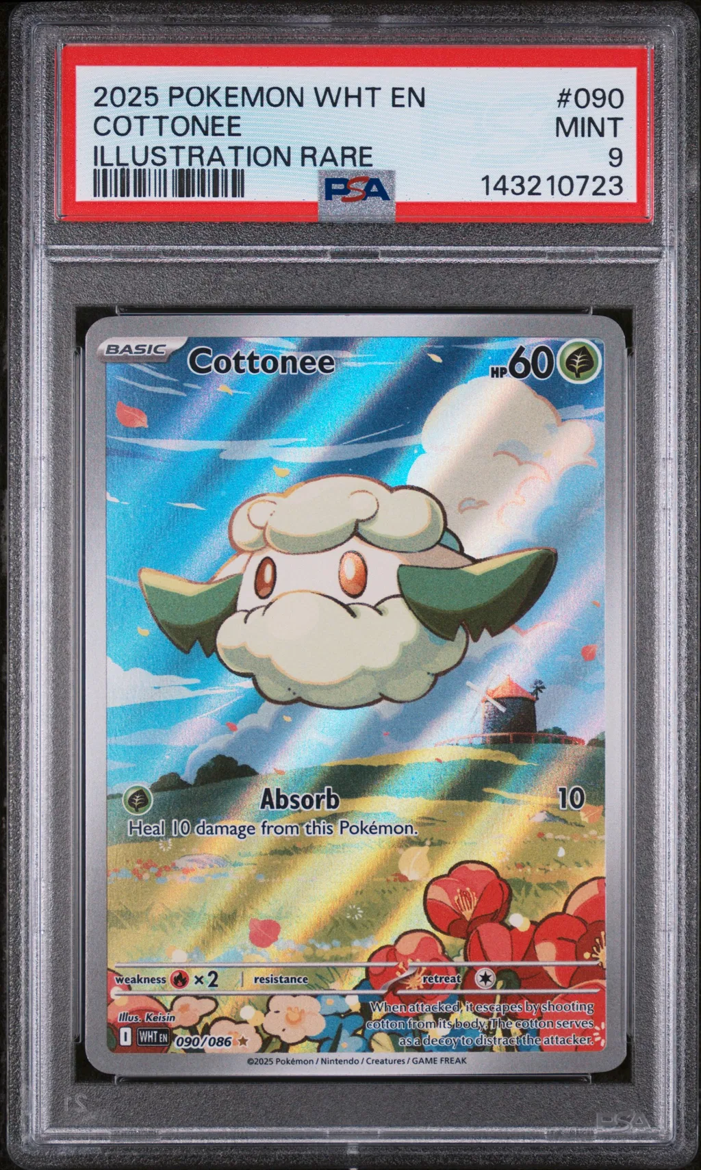 Cottonee card artwork