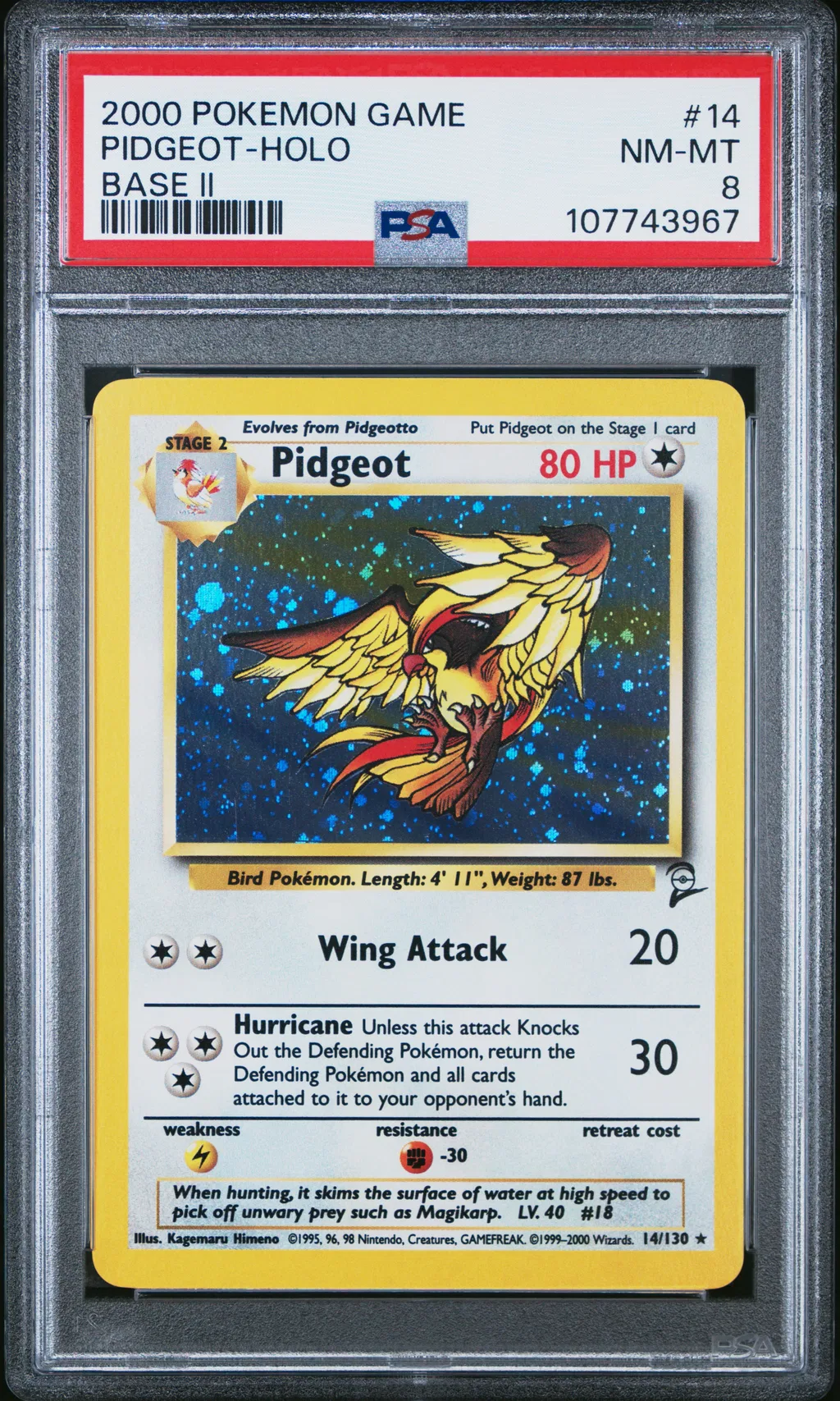 Pidgeot-Holo card artwork