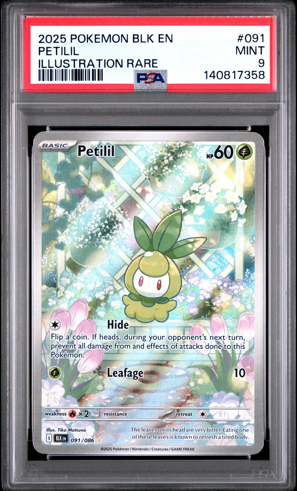 Petilil card artwork