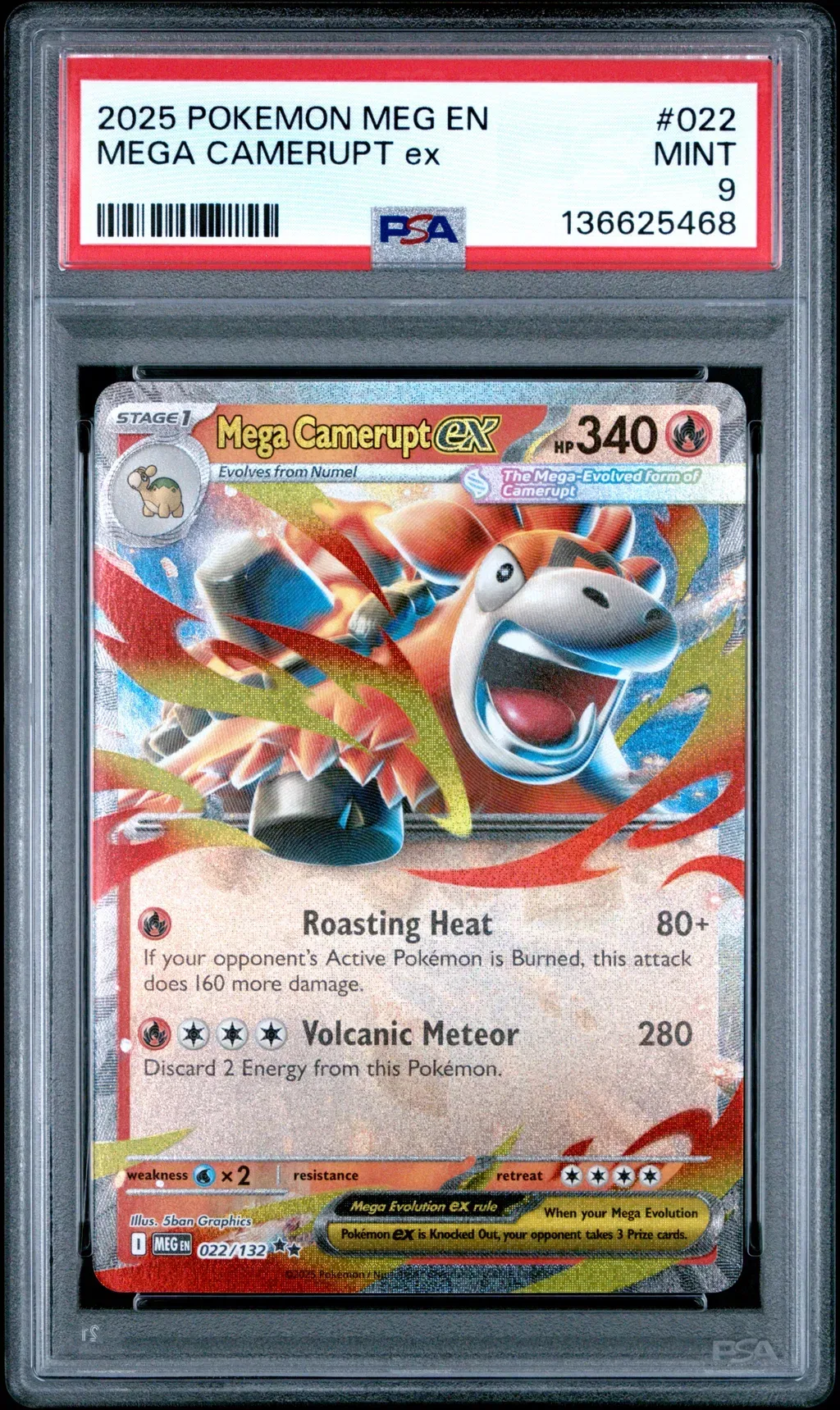 Mega Camerupt ex card artwork