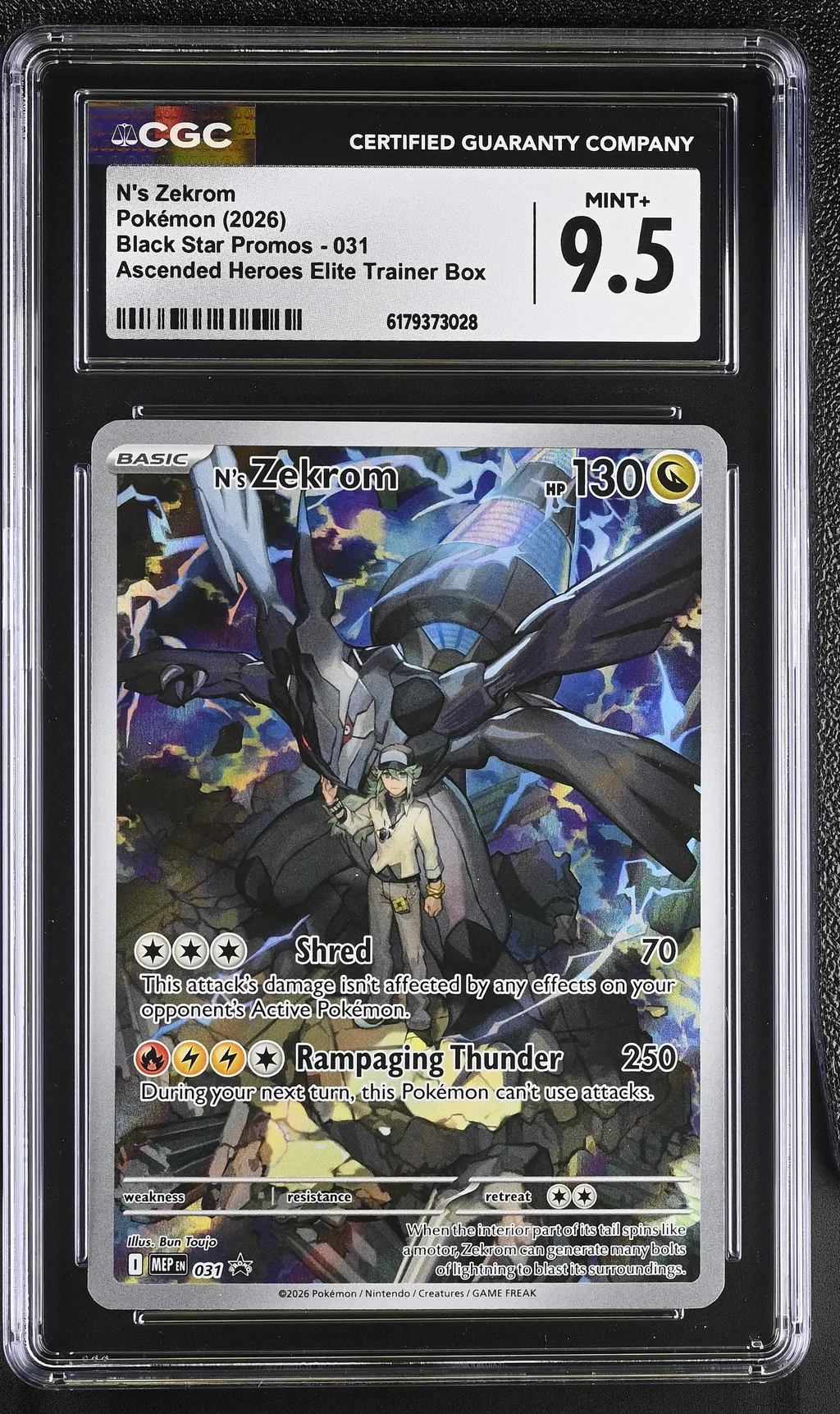 N's Zekrom card artwork