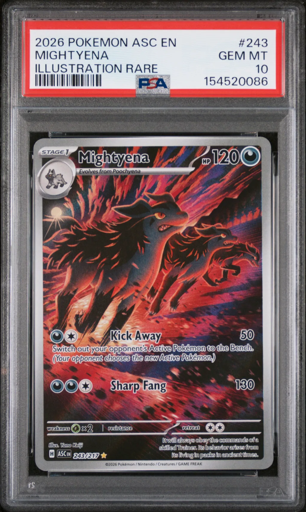 Mightyena card artwork