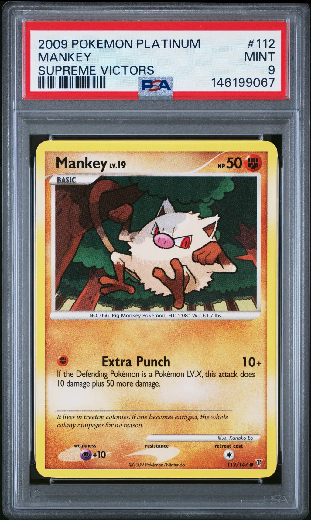 Mankey card artwork