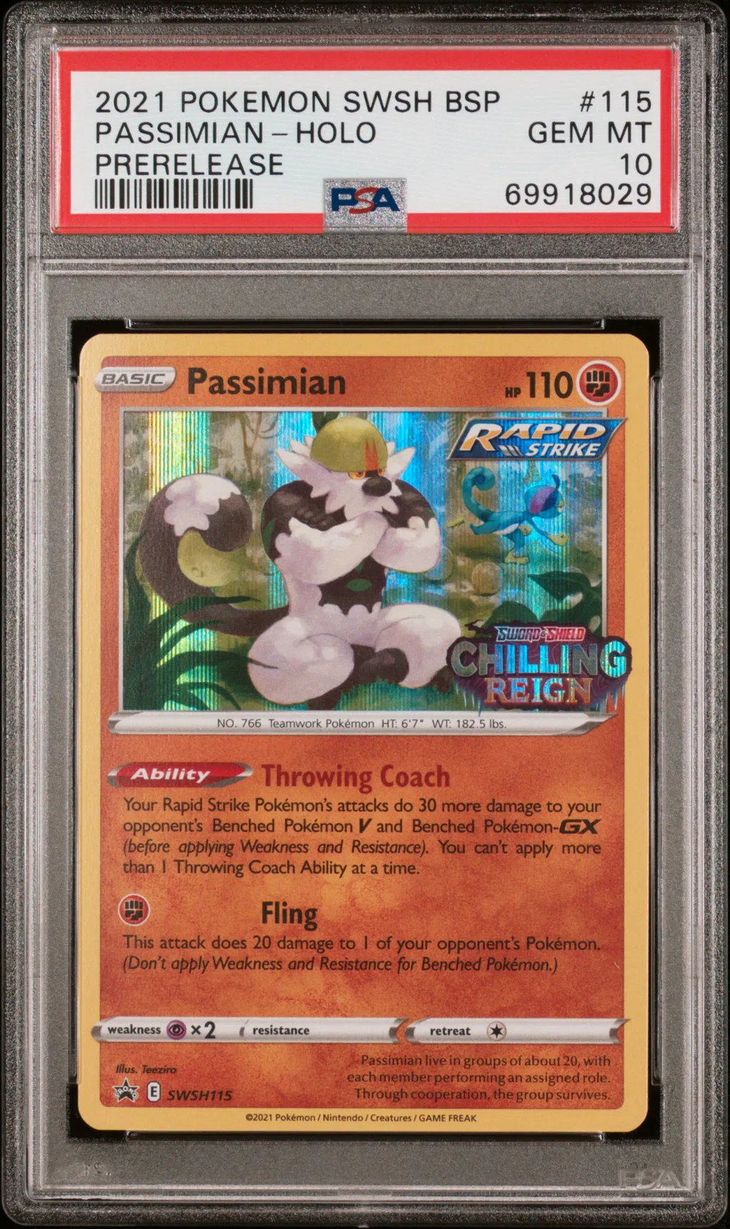 Passimian-Holo card artwork