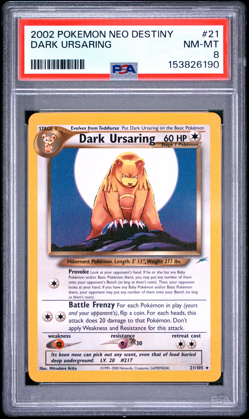 Dark Ursaring card artwork