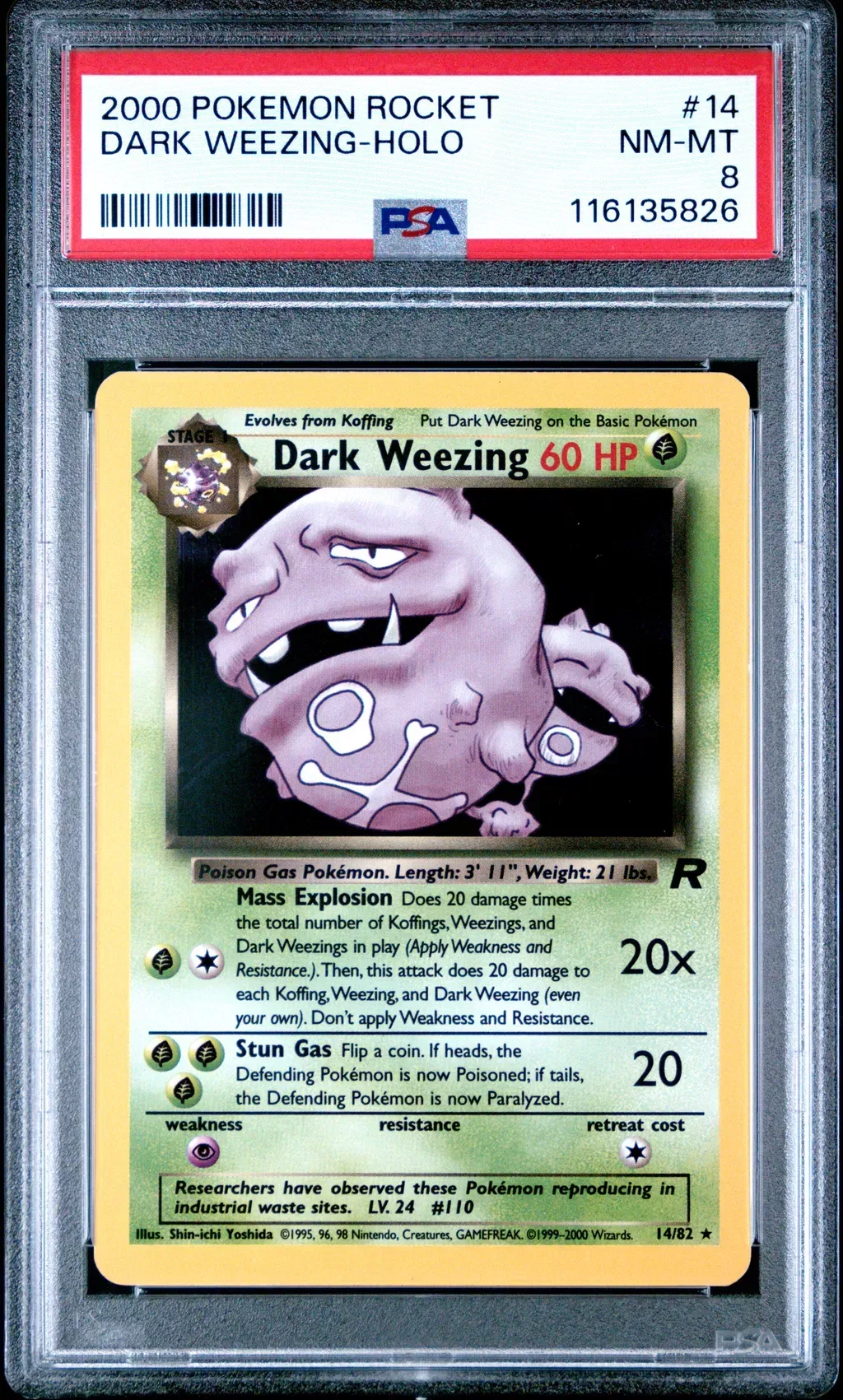 Dark Weezing-Holo card artwork