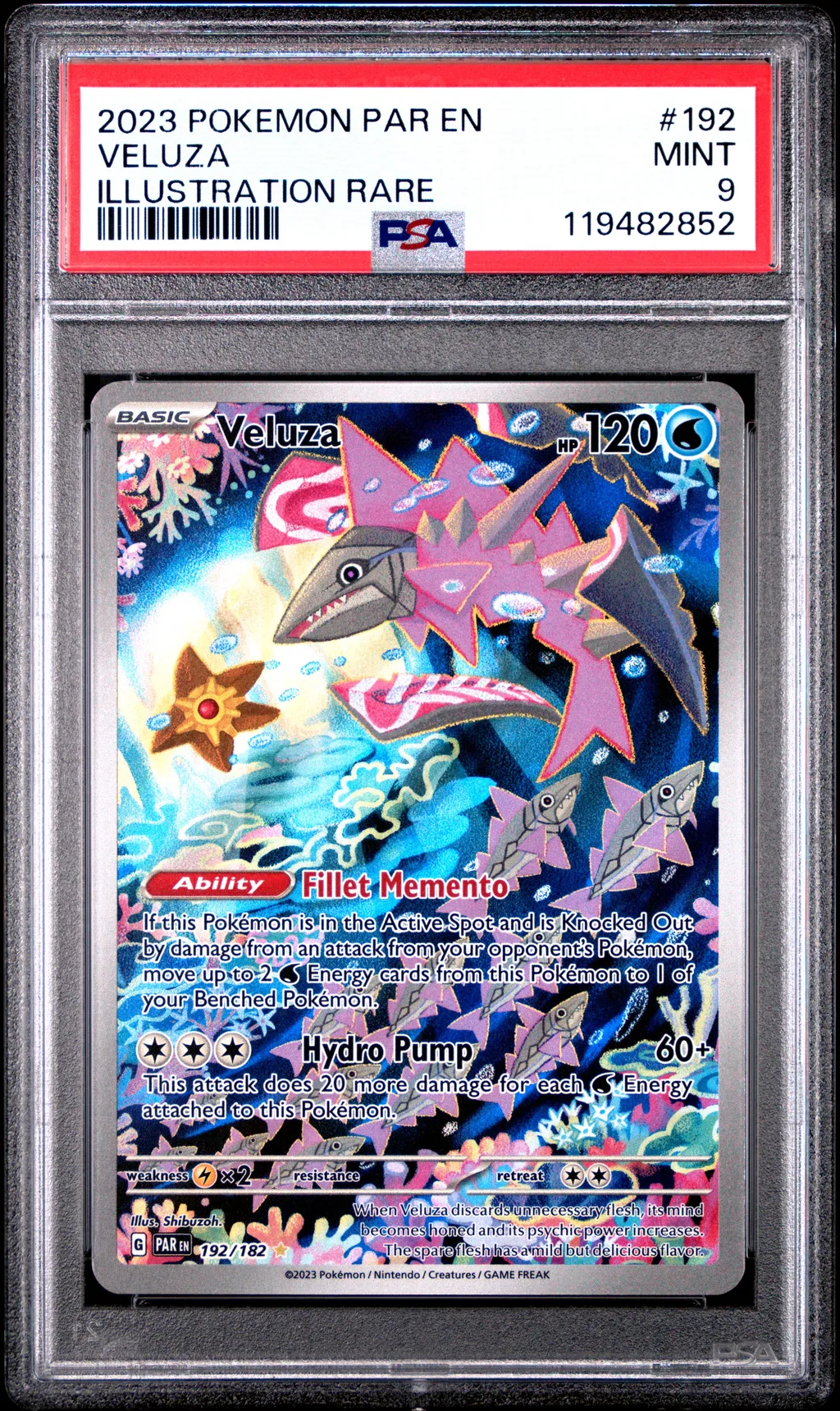 Veluza card artwork