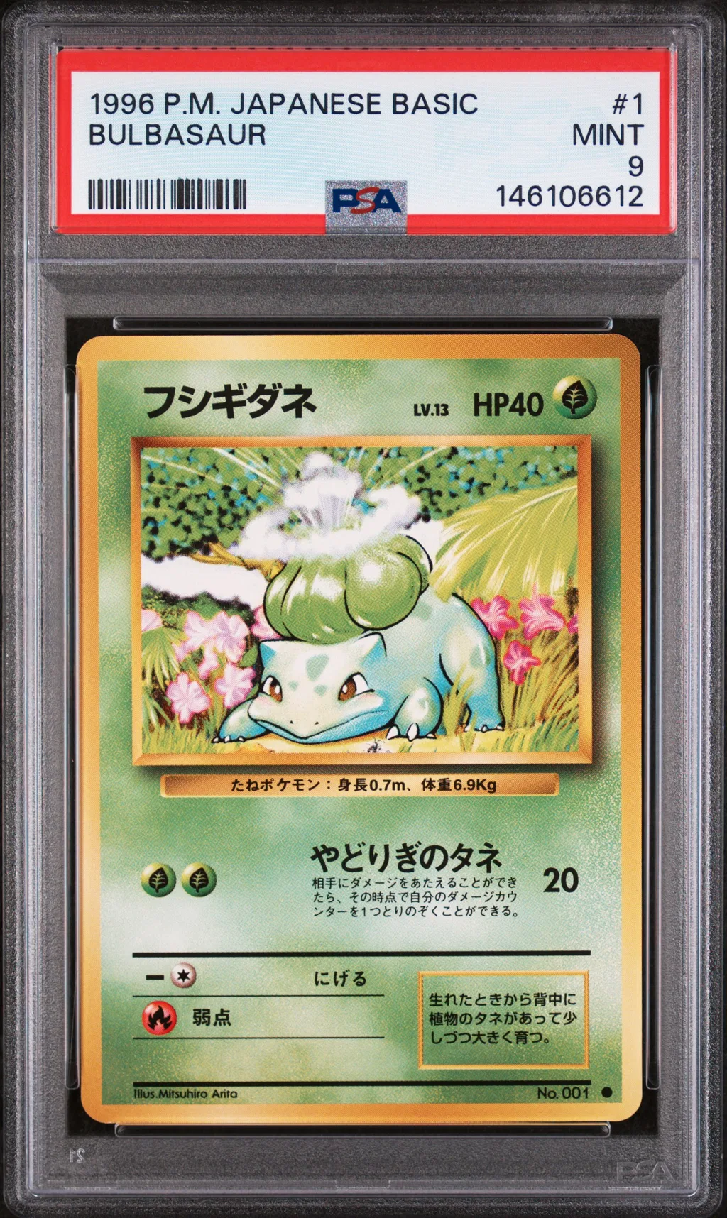 Bulbasaur card artwork