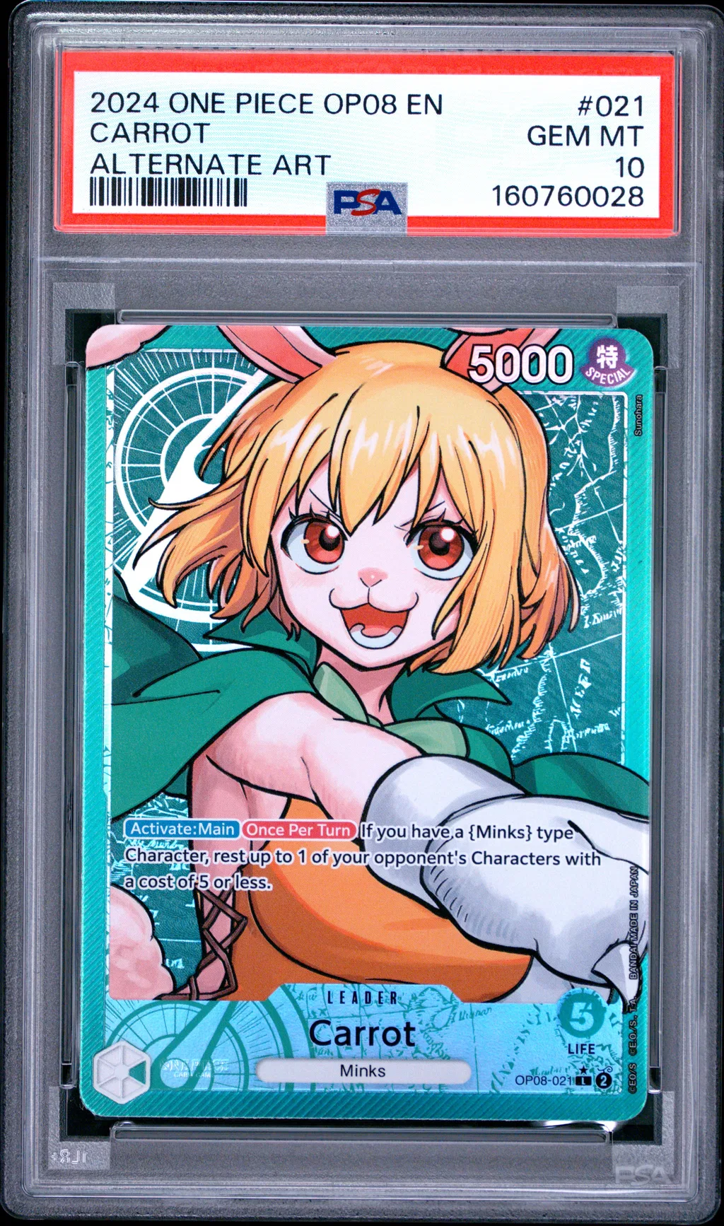 Carrot card artwork