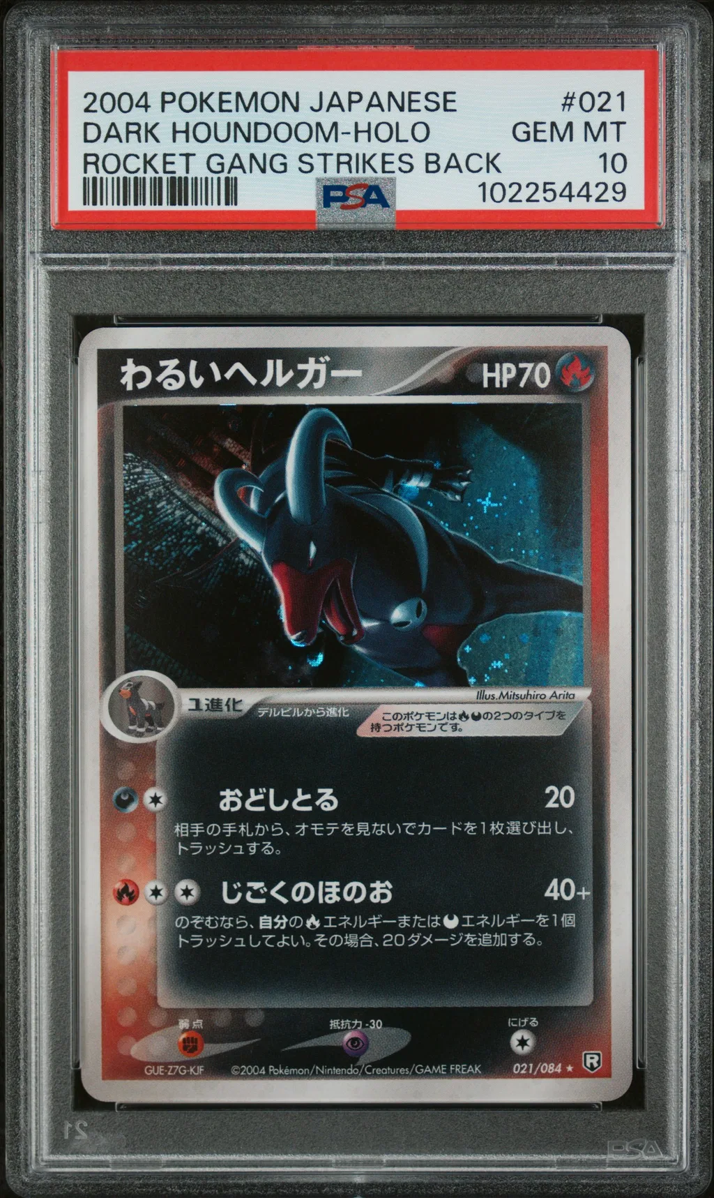 Dark Houndoom-Holo card artwork