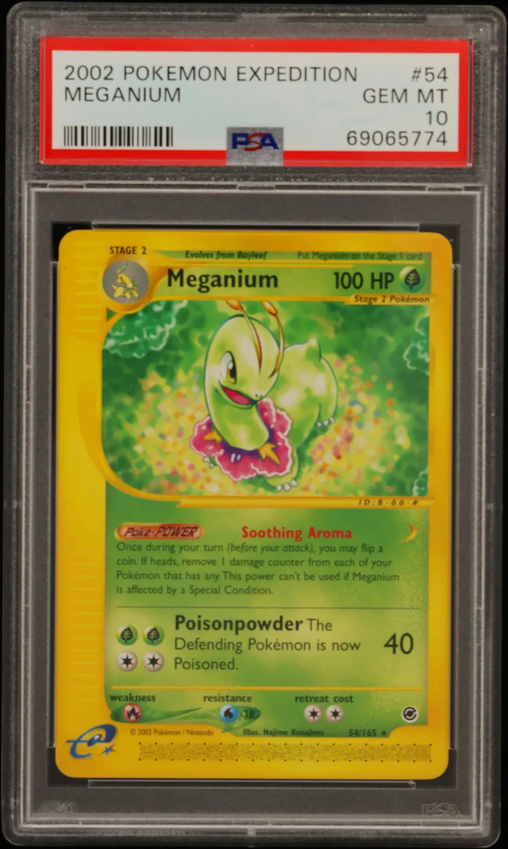 Meganium card artwork
