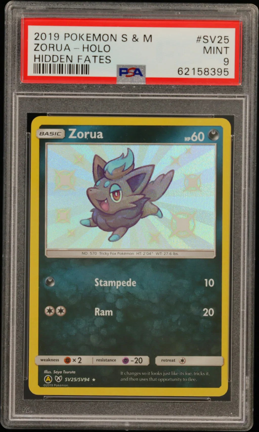 Zorua-Holo card artwork