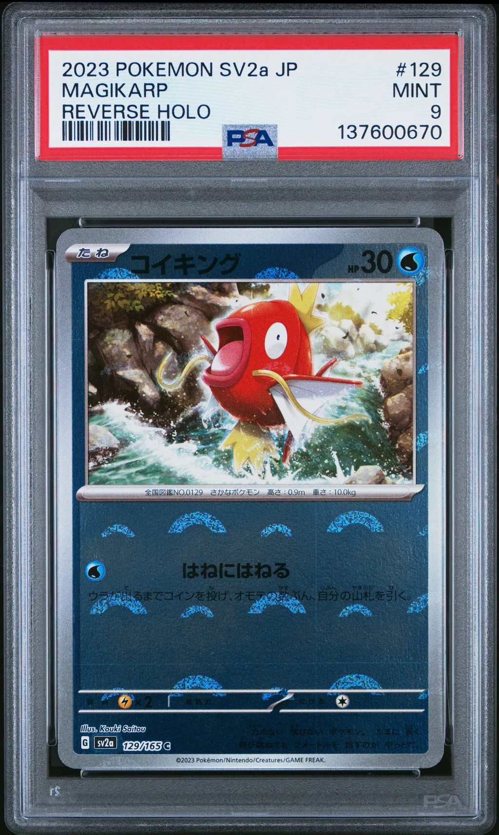 Magikarp card artwork