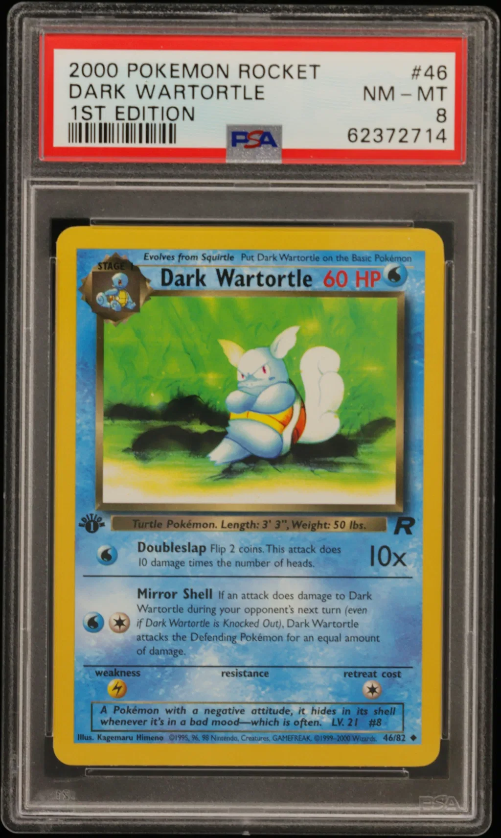 Dark Wartortle card artwork