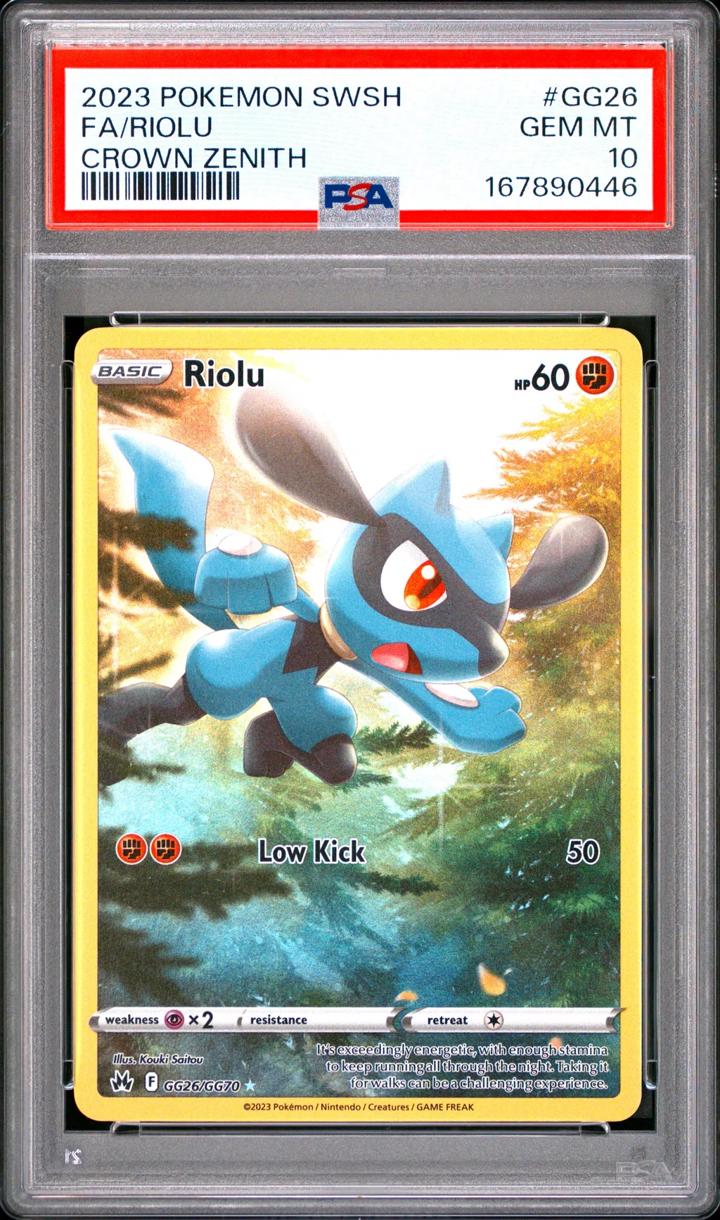 Full Art/Riolu card artwork