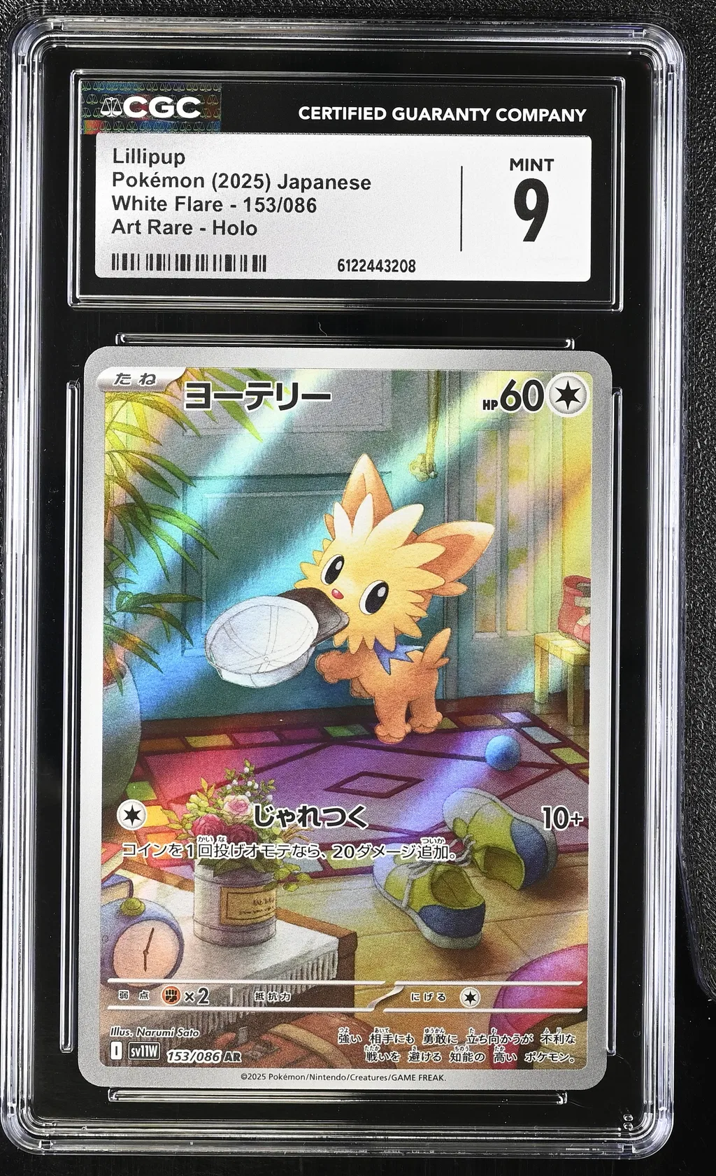 Lillipup card artwork