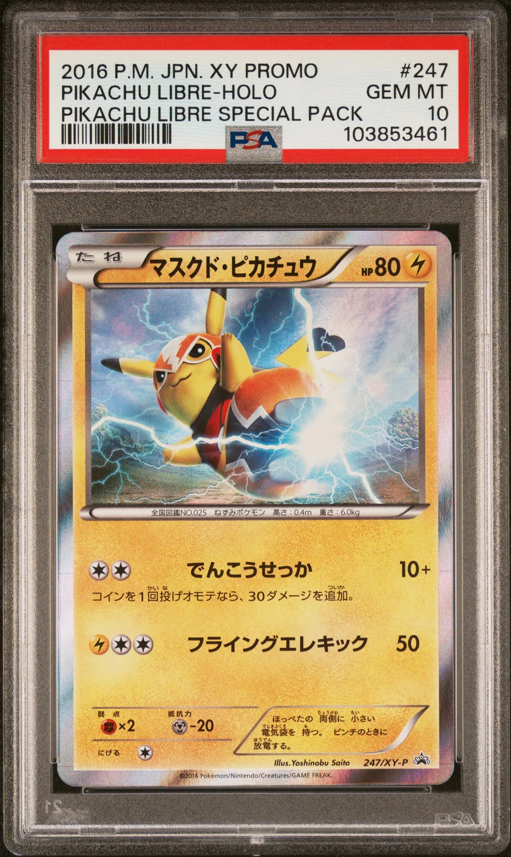 Pikachu Libre-Holo card artwork
