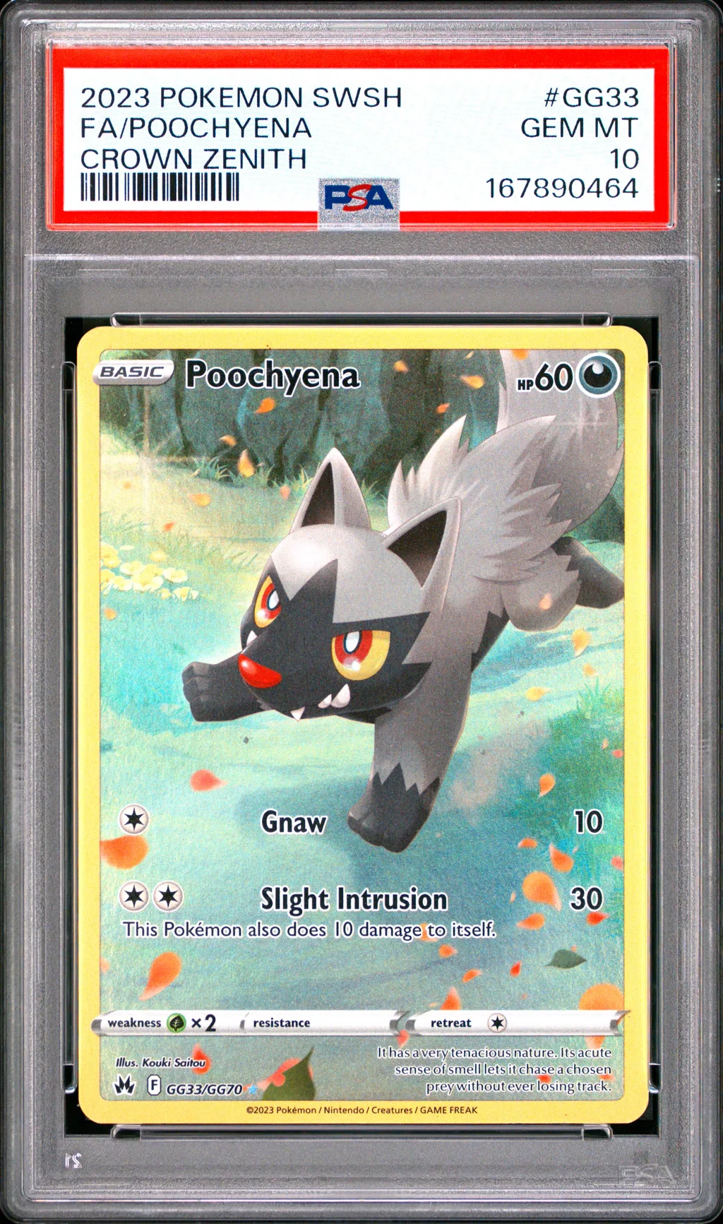 Full Art/Poochyena card artwork