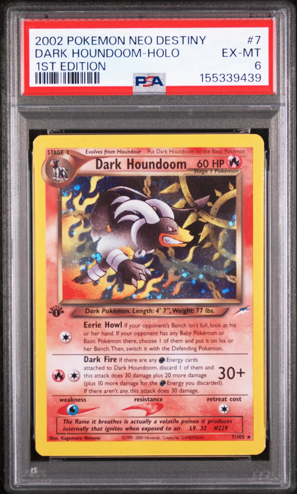Dark Houndoom-Holo card artwork