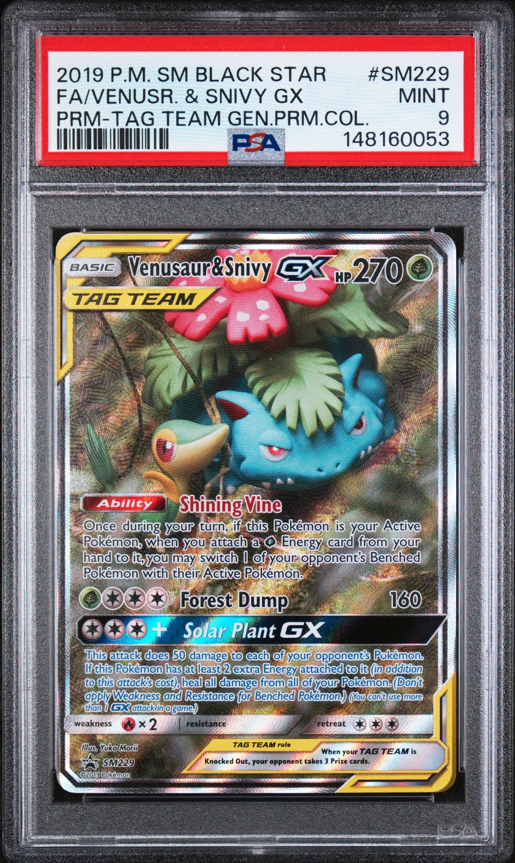Full Art/Venusaur & Snivy GX card artwork
