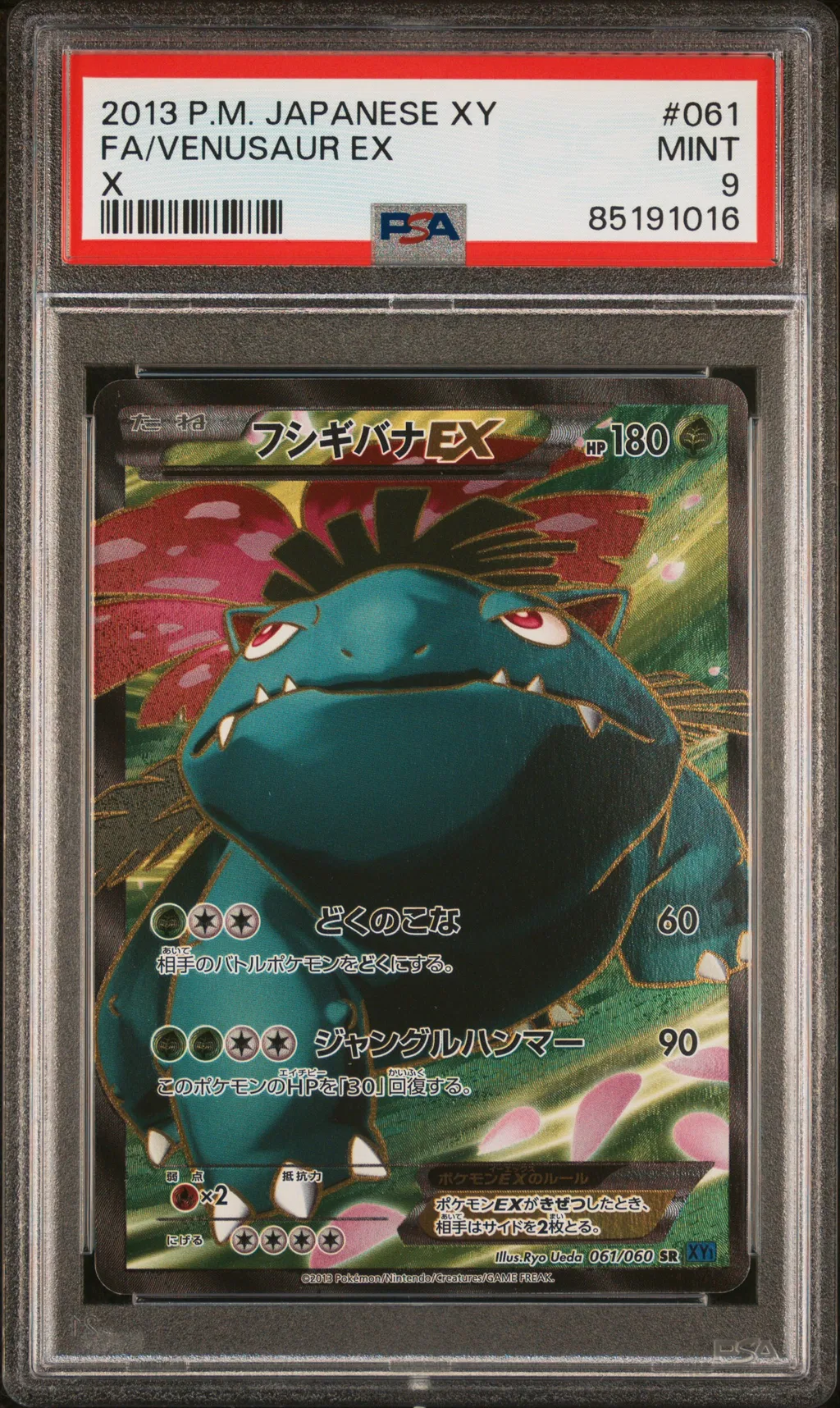 Full Art/Venusaur EX card artwork