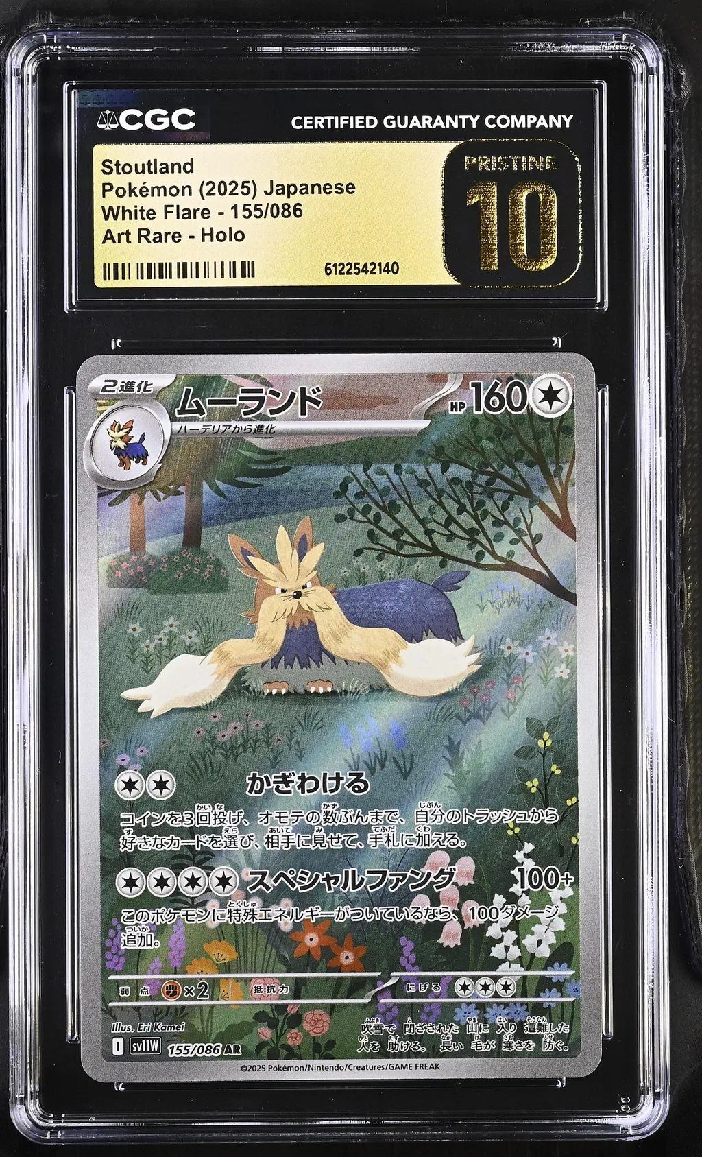 Stoutland card artwork