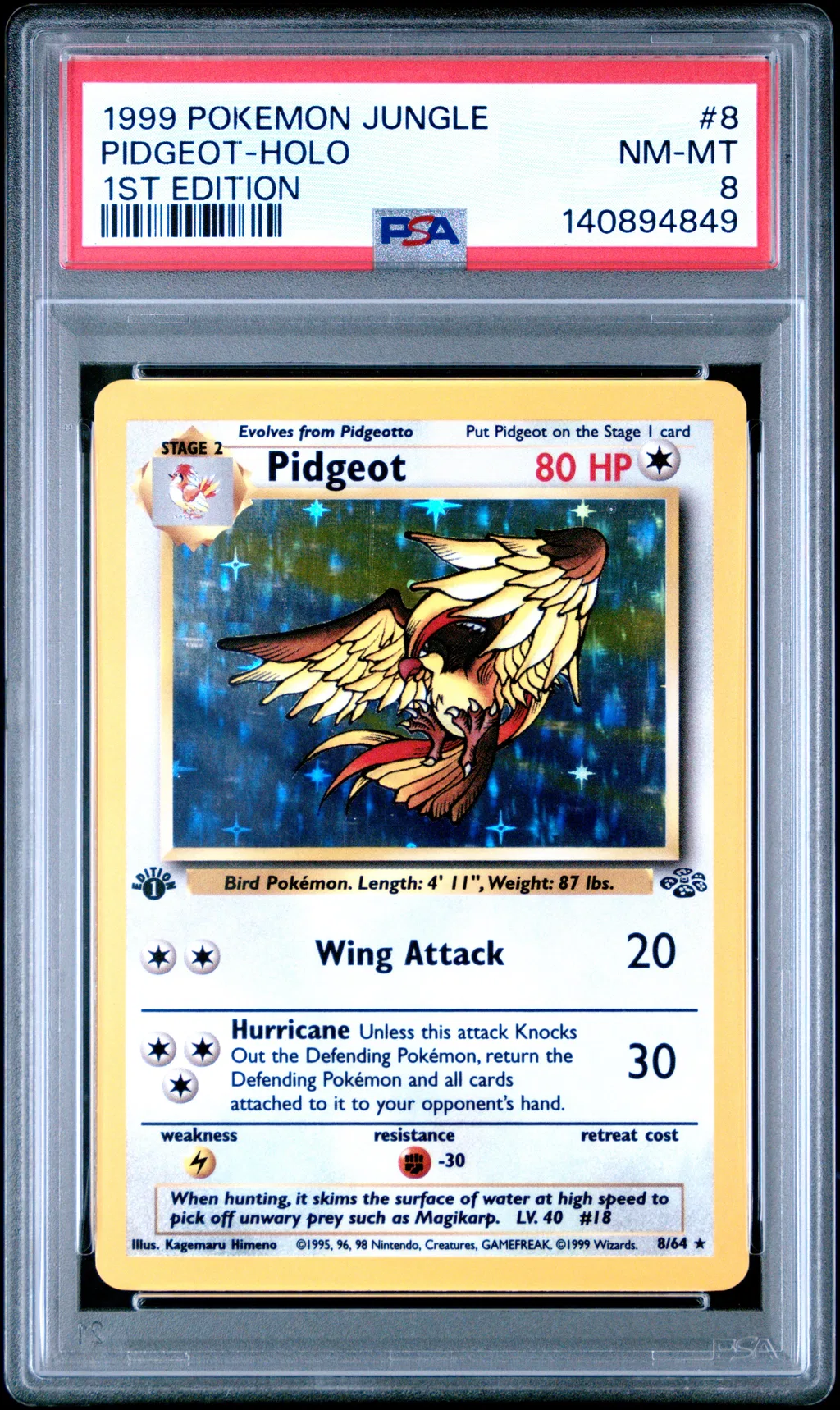 Pidgeot-Holo card artwork