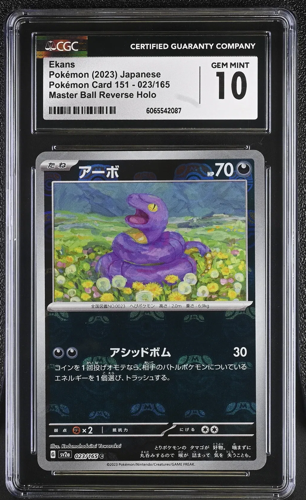 Ekans card artwork