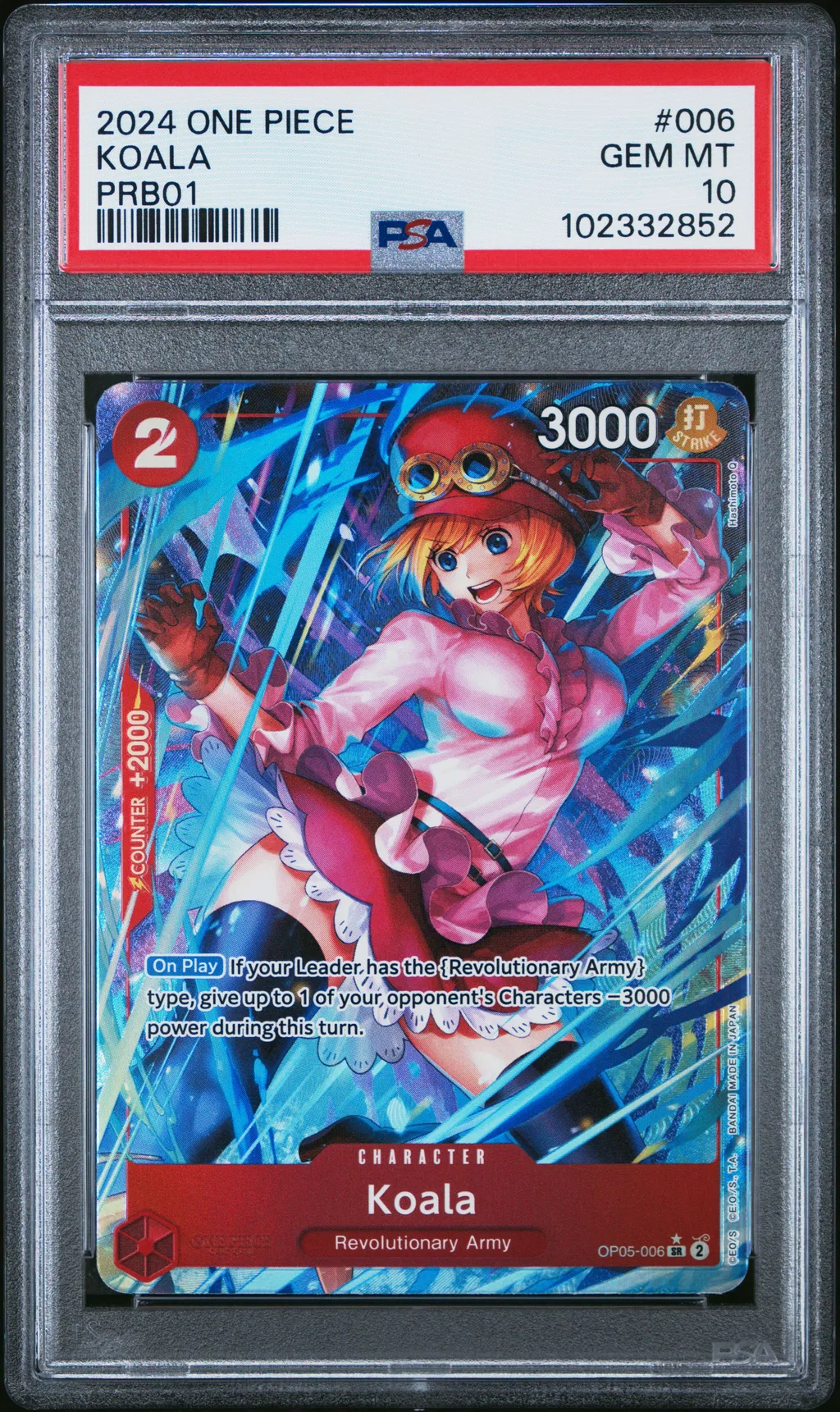 Koala card artwork