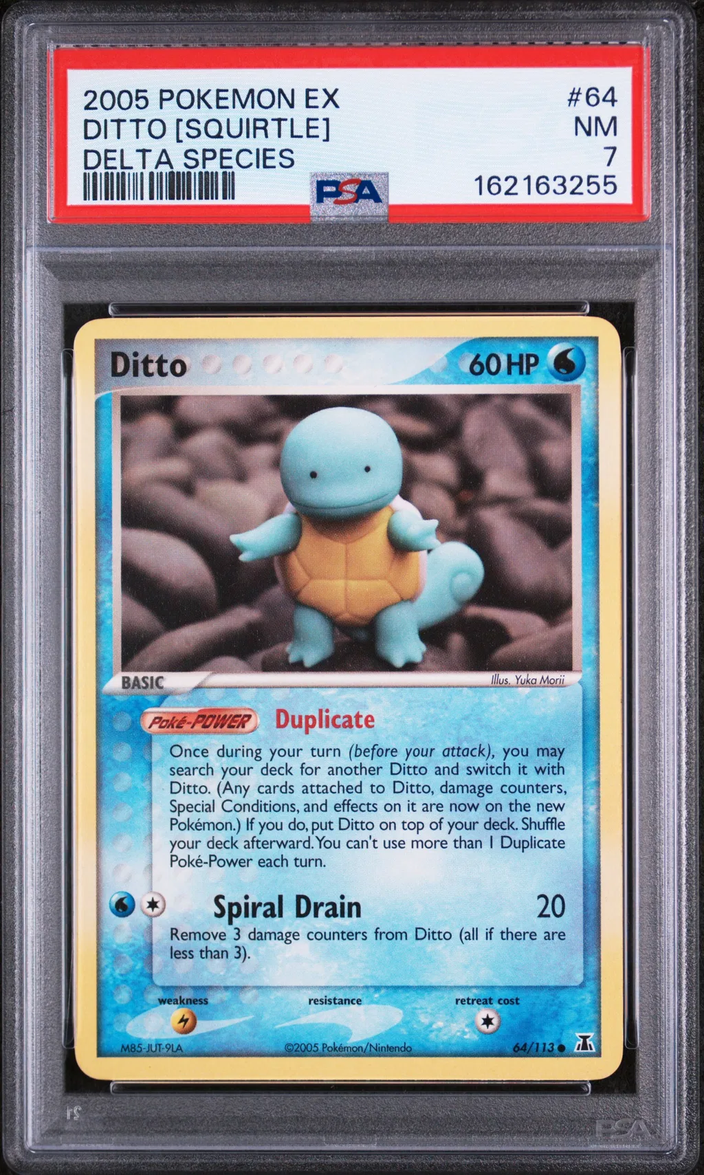 Ditto [Squirtle] card artwork