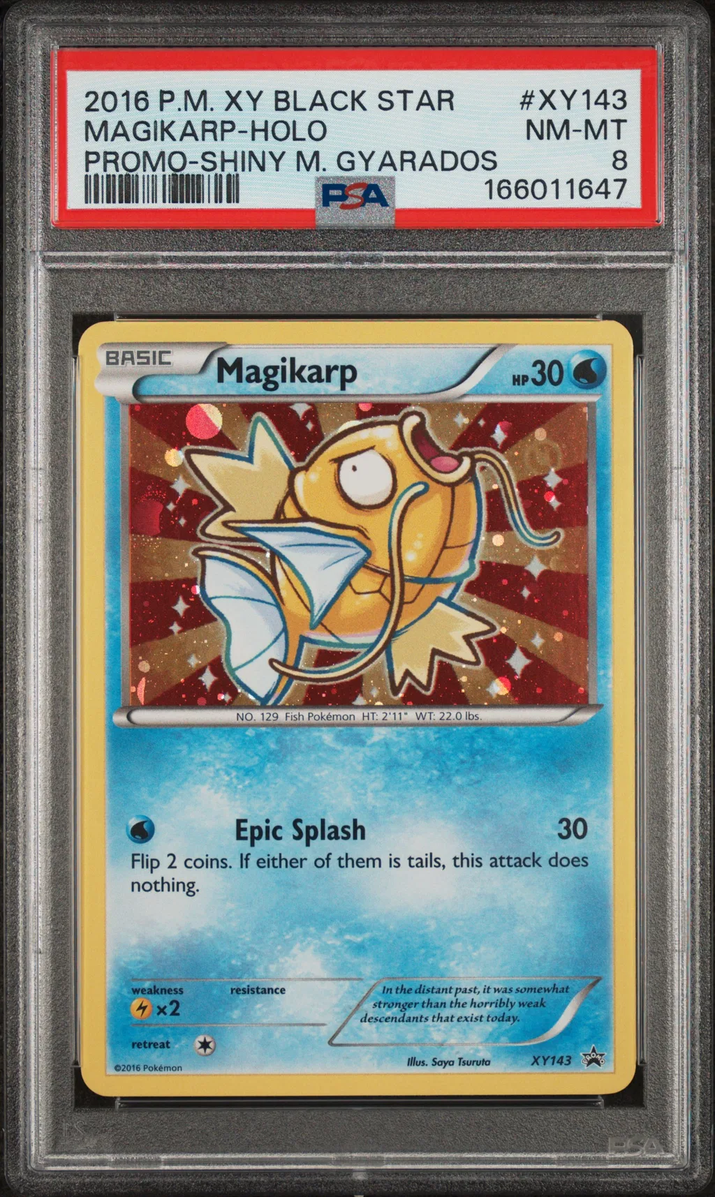 Magikarp-Holo card artwork