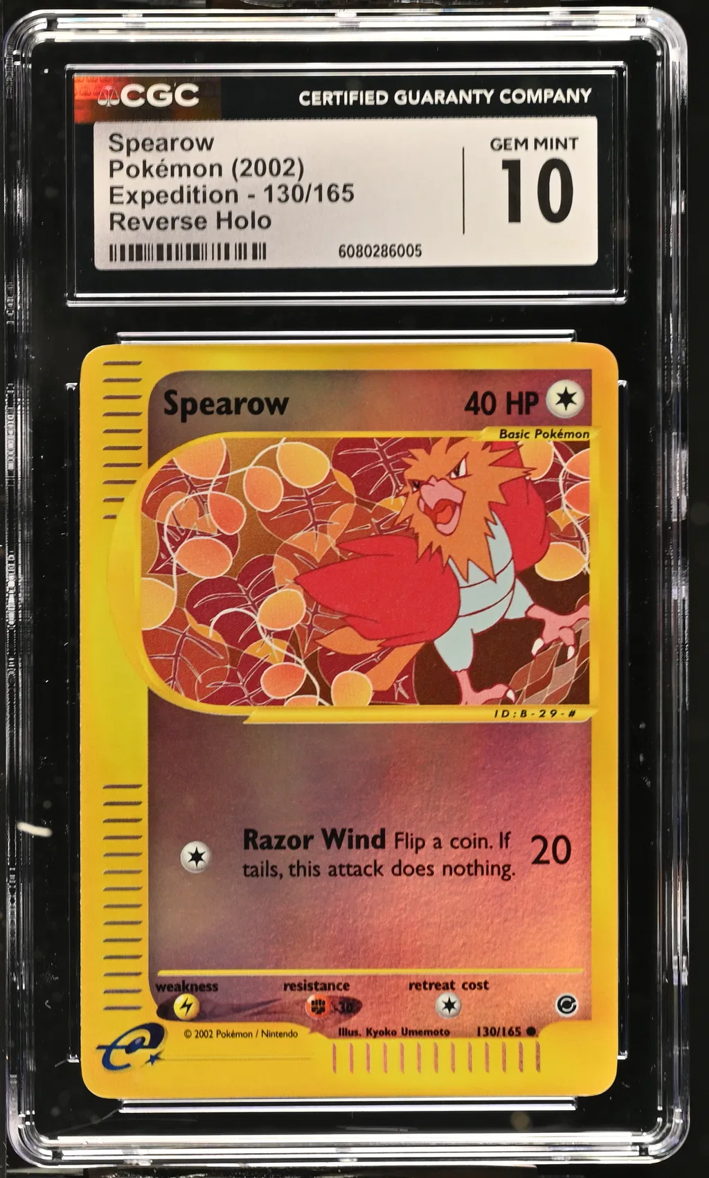 Spearow card artwork